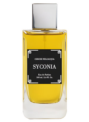 Syconia by Cerchi Nell’Acqua perfume bottle