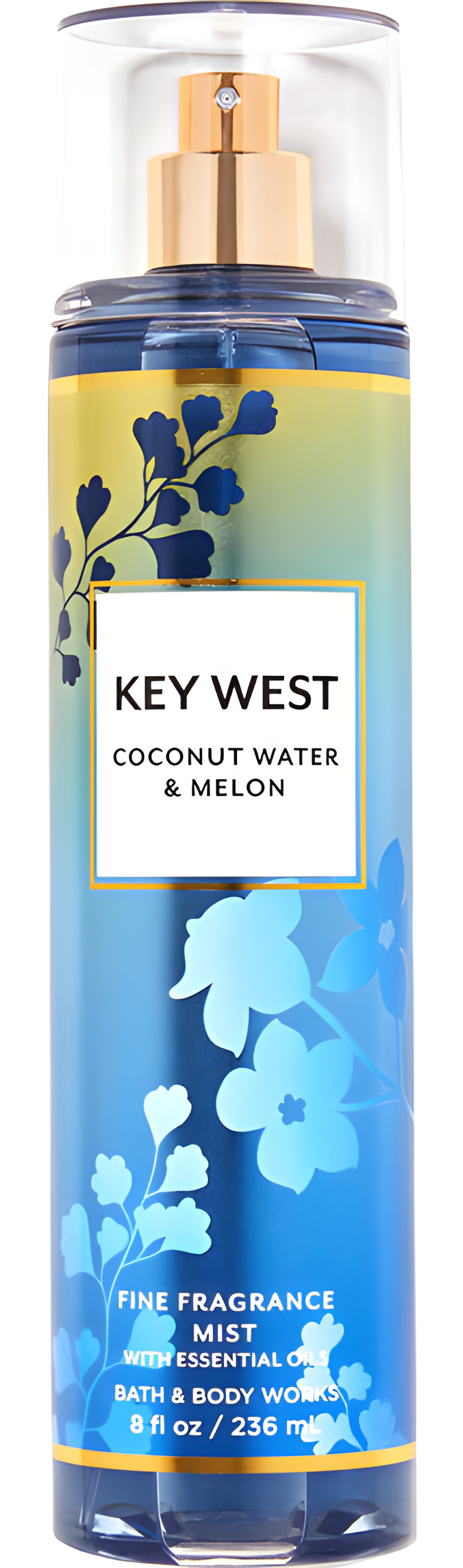 Picture of Key West Coconut Water & Melon fragrance