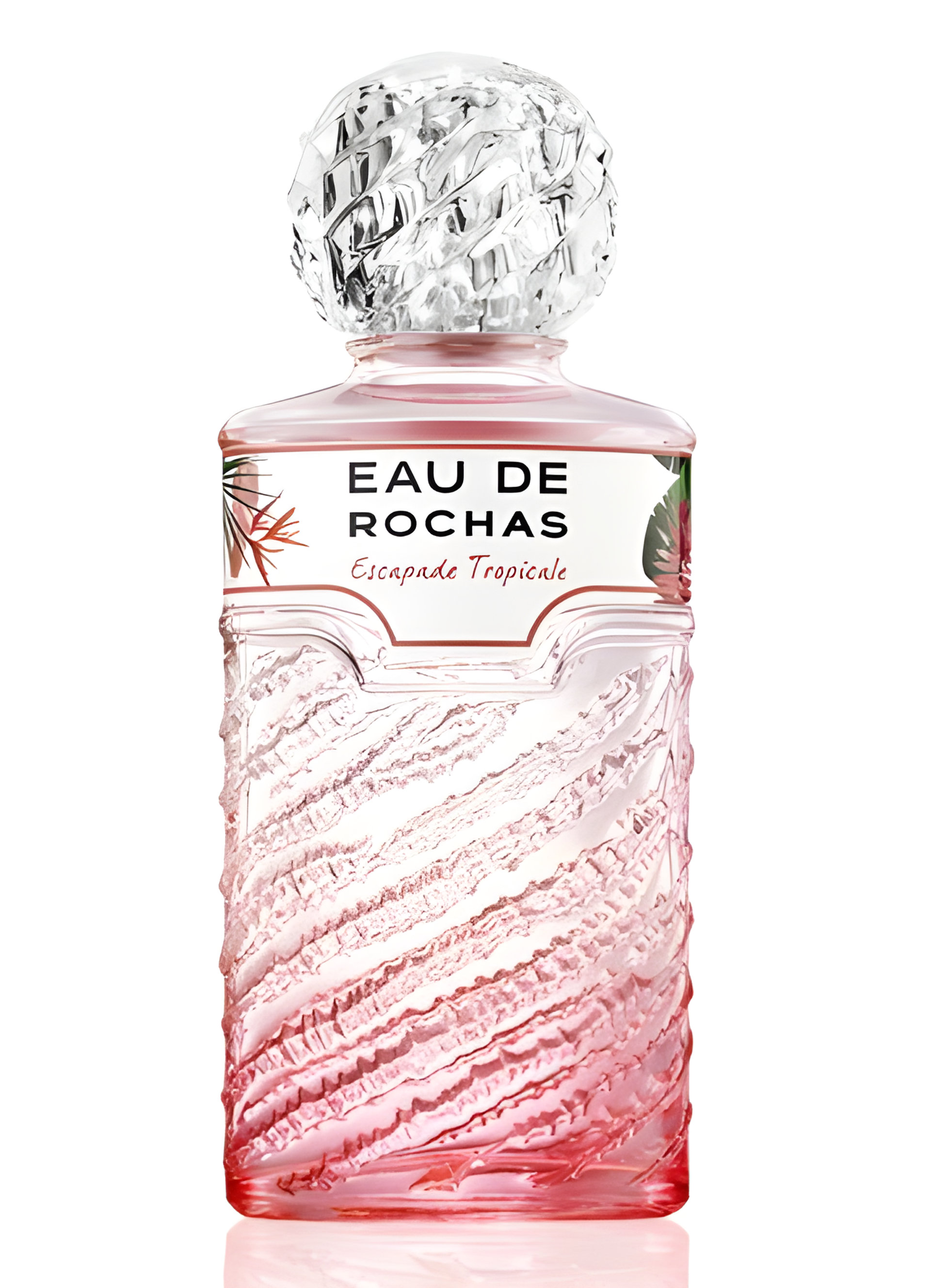 Picture of Eau de Rochas Escapade Tropicale fragrance