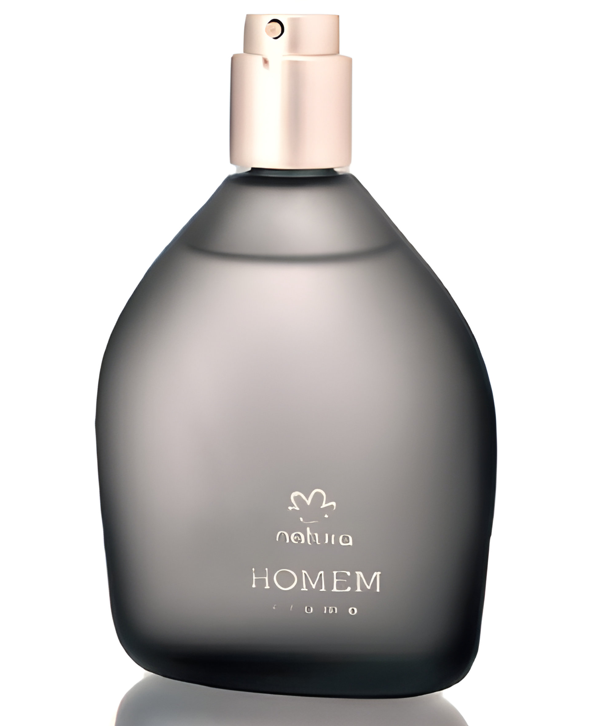 Picture of Homem Cromo fragrance