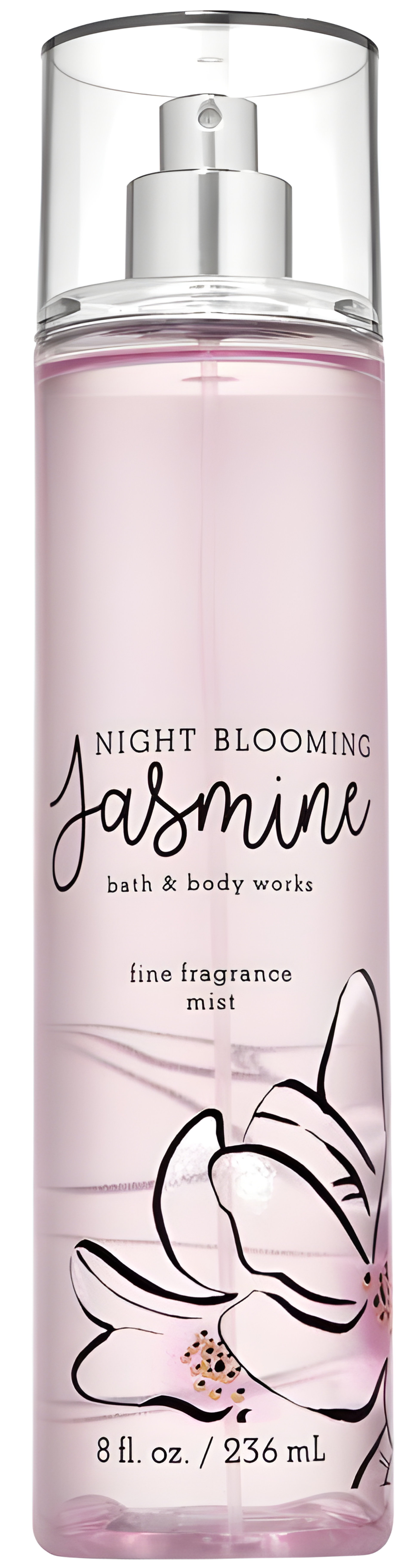 Picture of Night Blooming Jasmine fragrance
