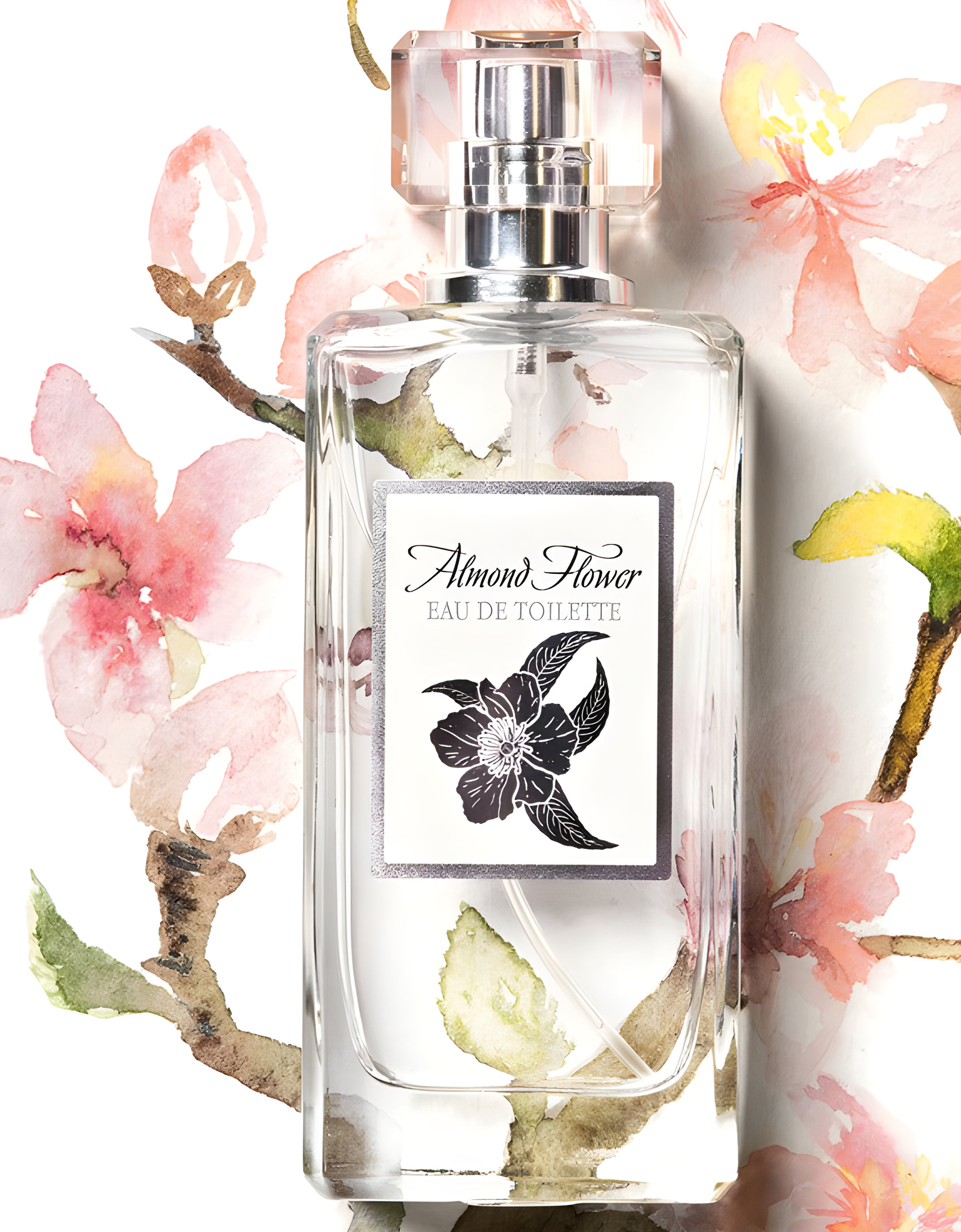 Almond Flower by Ninel Perfume