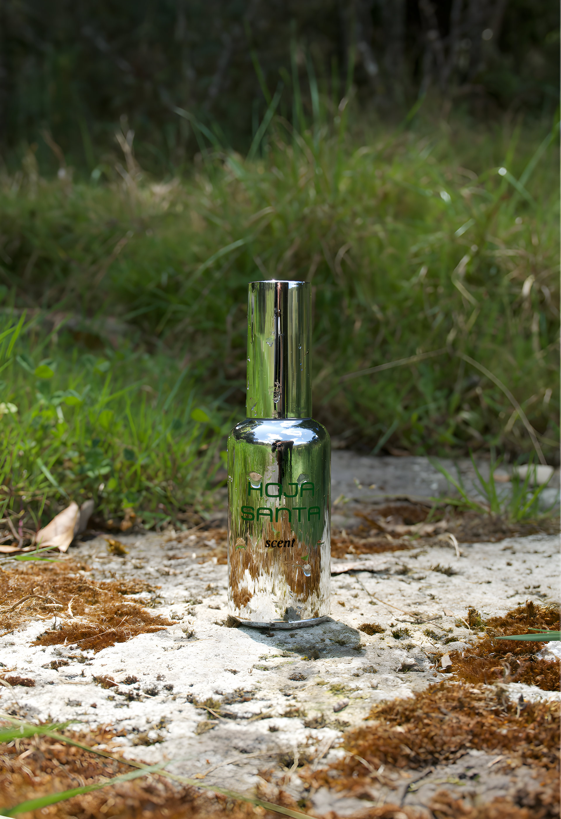 Picture of Hoja Santa fragrance