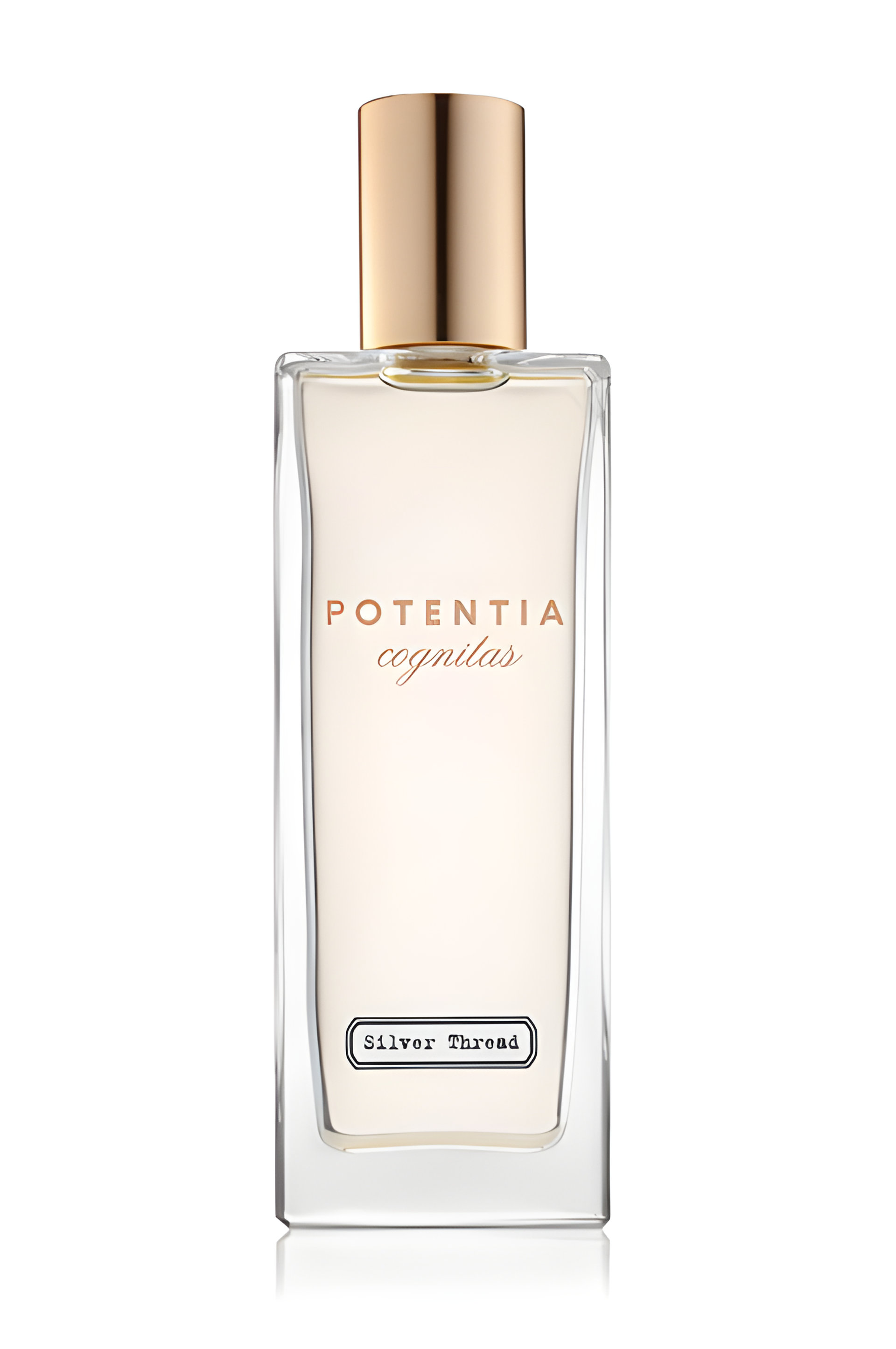 Picture of Silver Thread fragrance