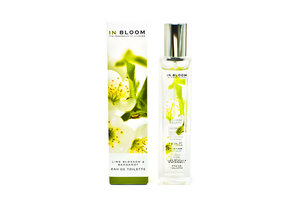 Lime Blossom and Bergamot by Marks & Spencer perfume bottle