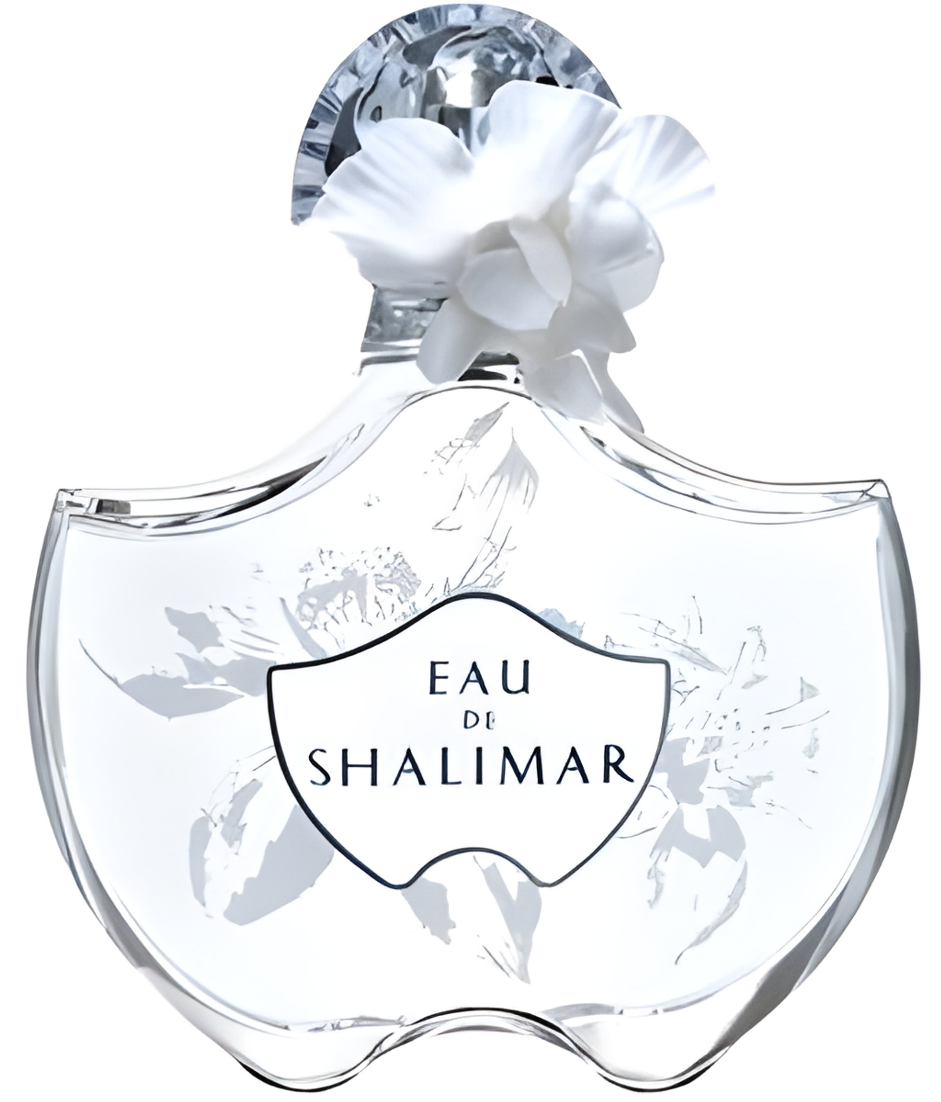 Picture of Eau de Shalimar 2009 fragrance