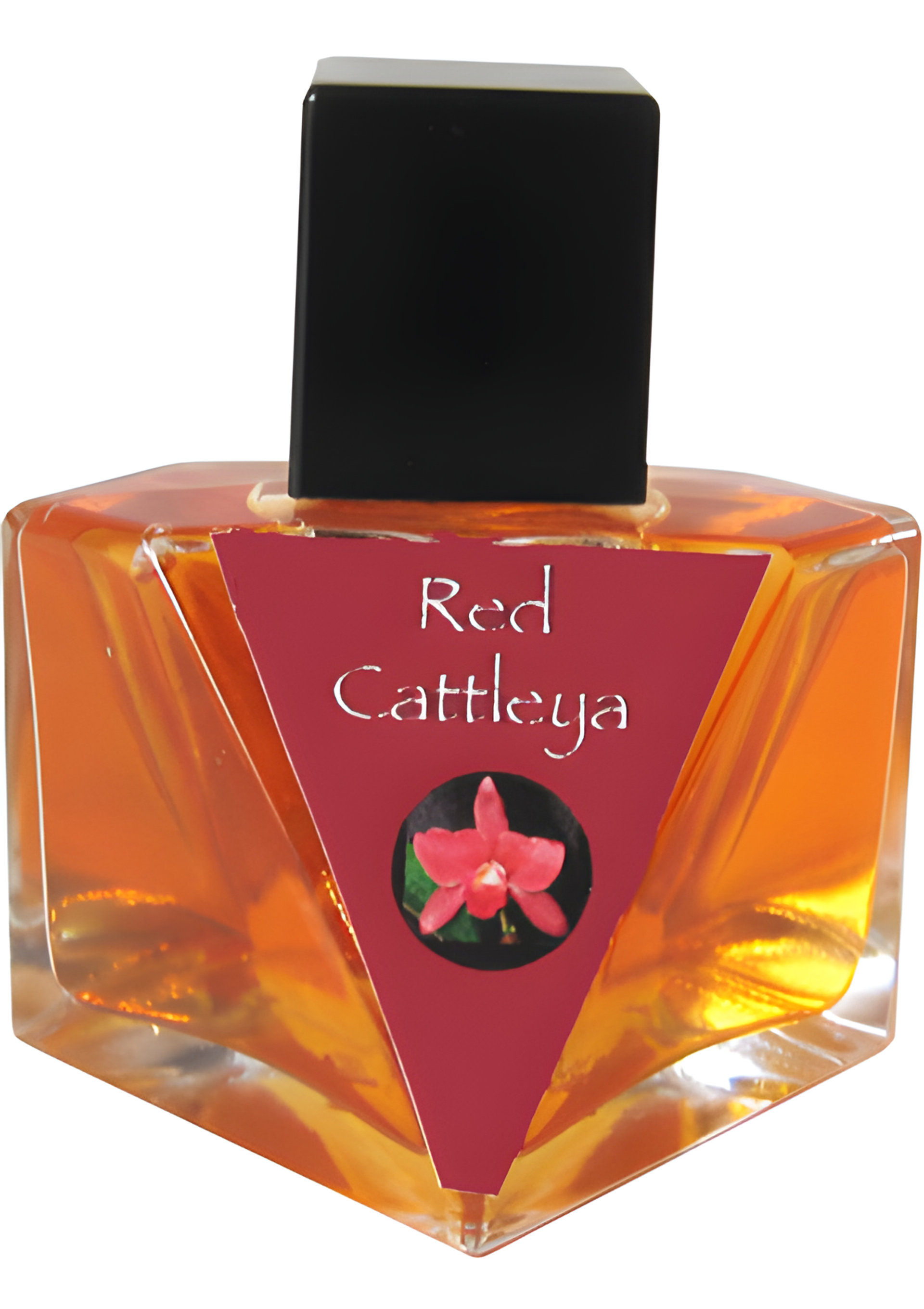Picture of Red Cattleya fragrance