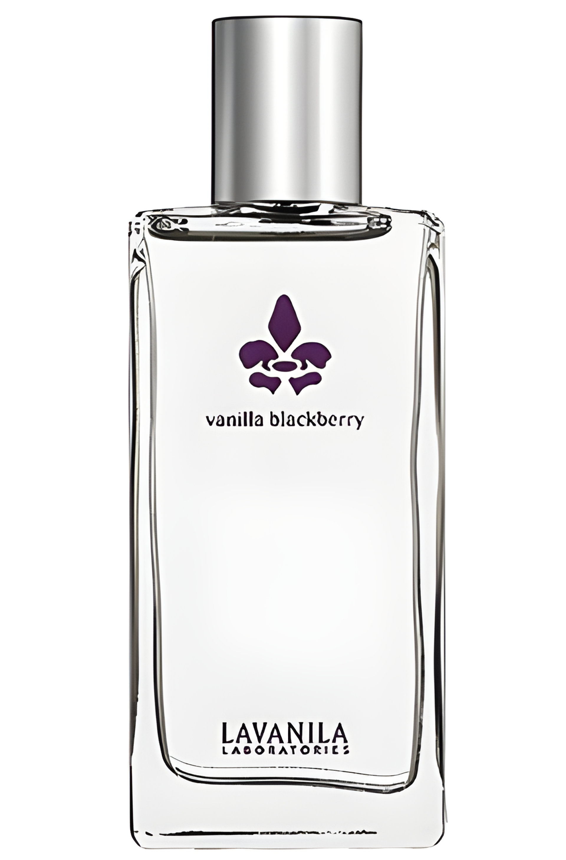 Picture of Vanilla Blackberry fragrance