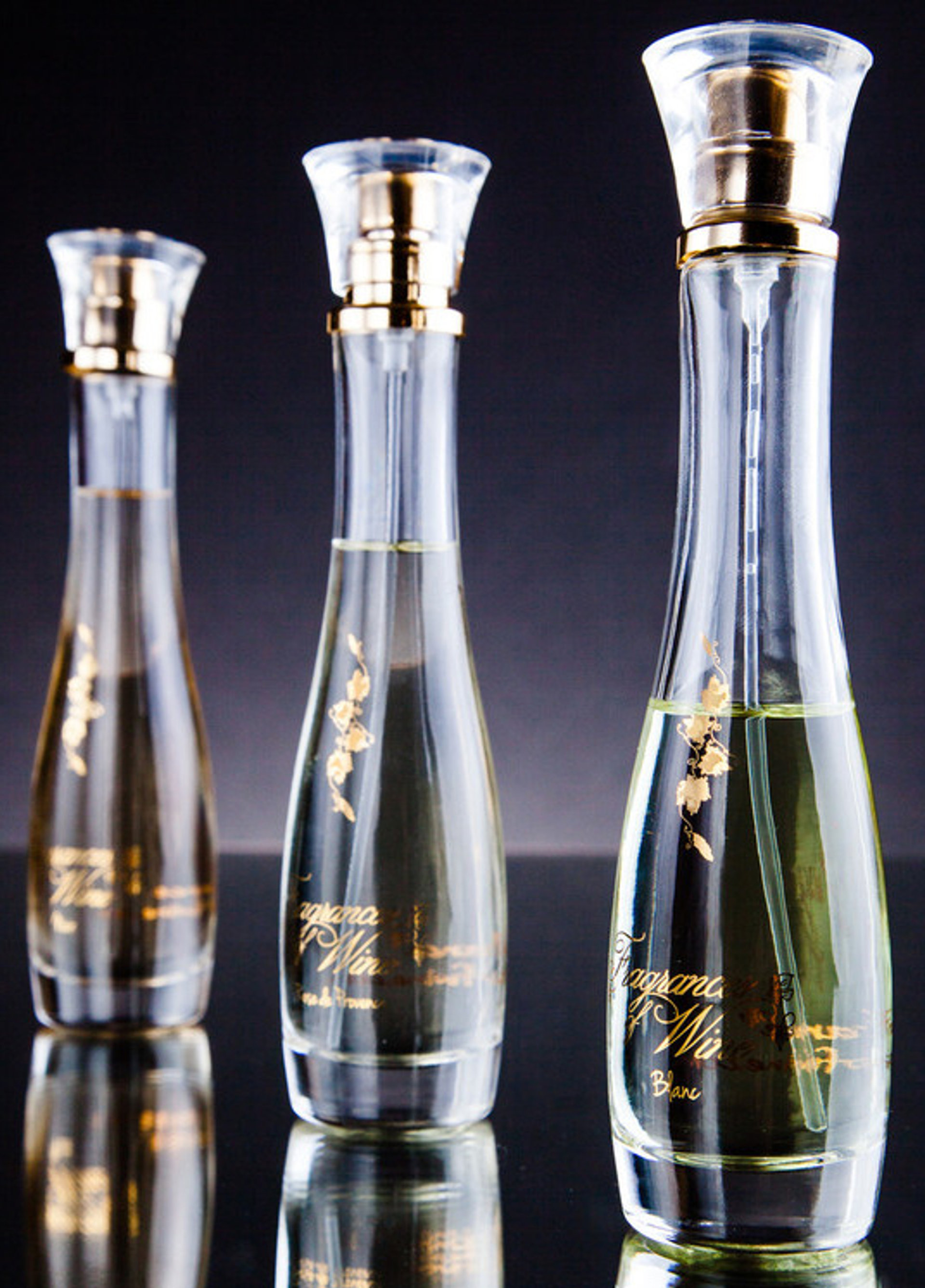 Picture of Blanc fragrance