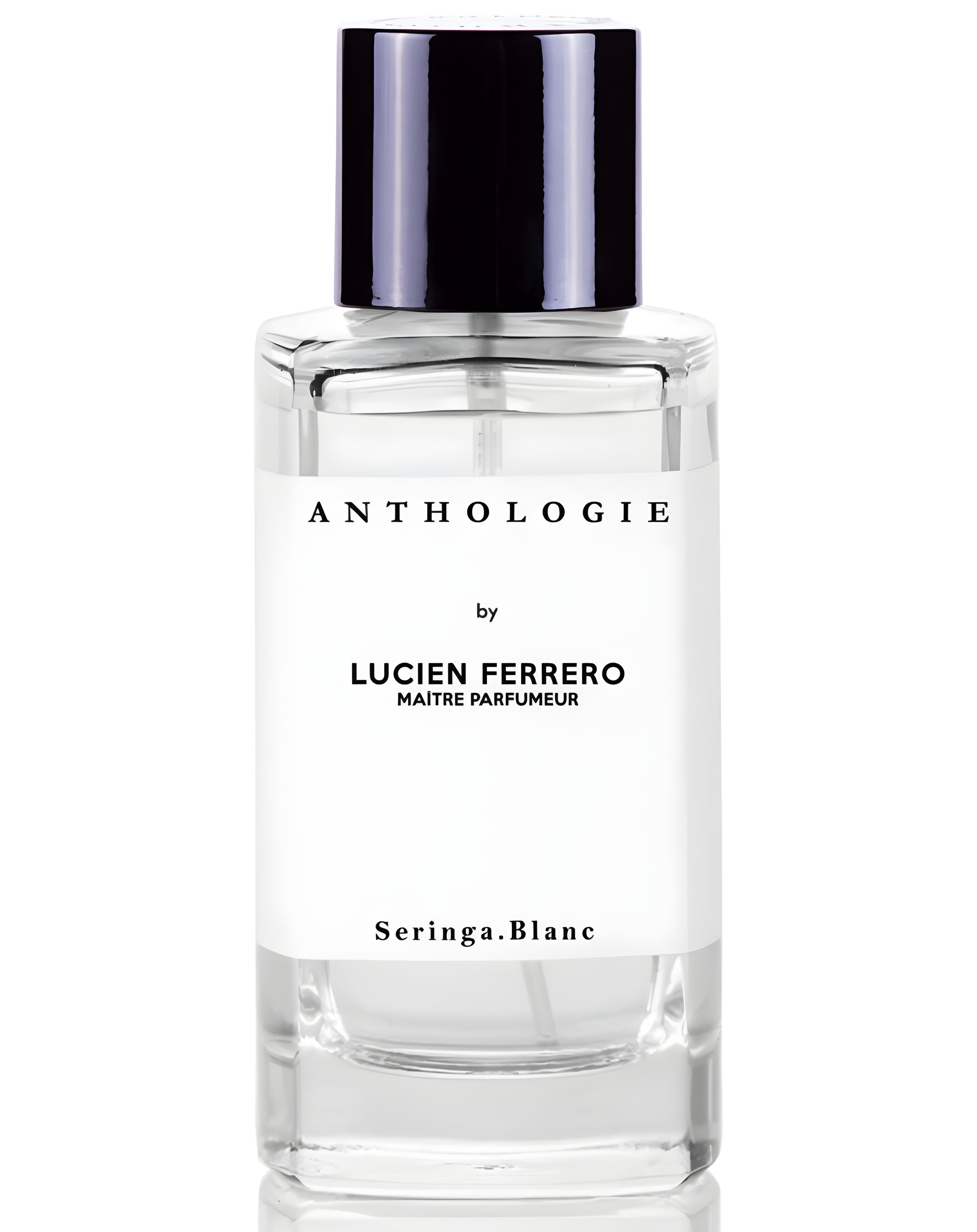 Picture of Seringa Blanc fragrance