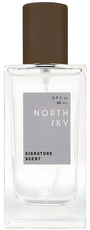 North Sky by Good Chemistry perfume bottle