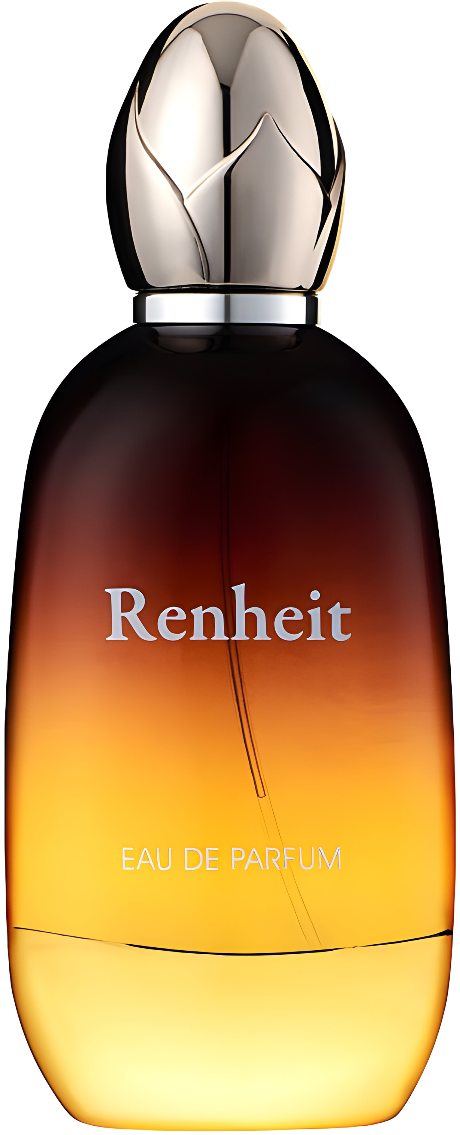 Picture of Renheit fragrance