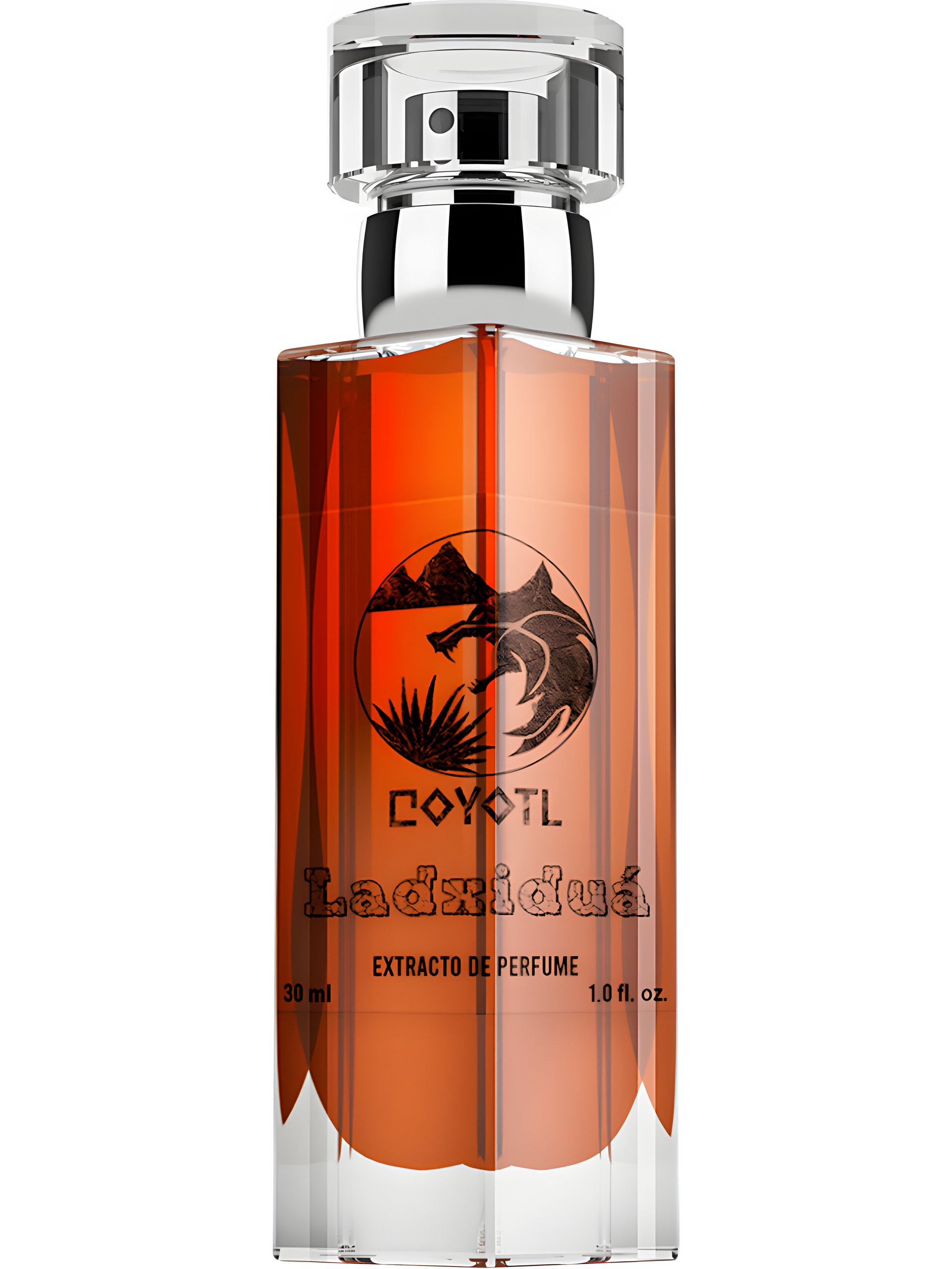 Picture of Ladxiduá fragrance