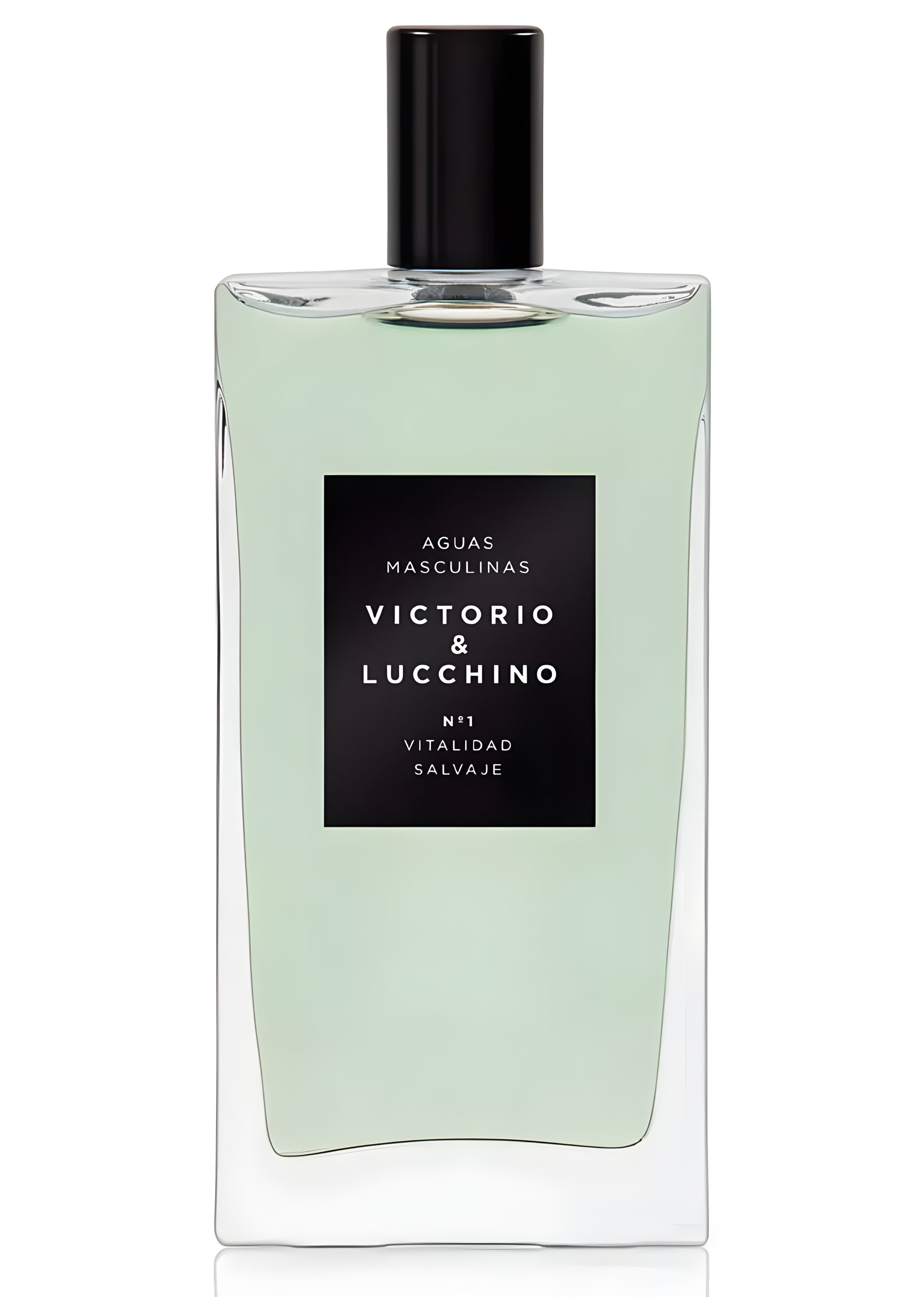 Picture of Nº 1 Vitalidad Salvaje Wild Vitality fragrance