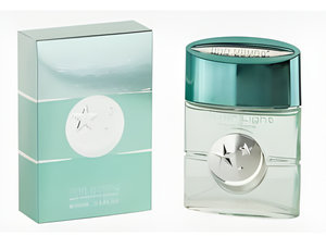 Silver Light Extreme by Linn Young perfume bottle