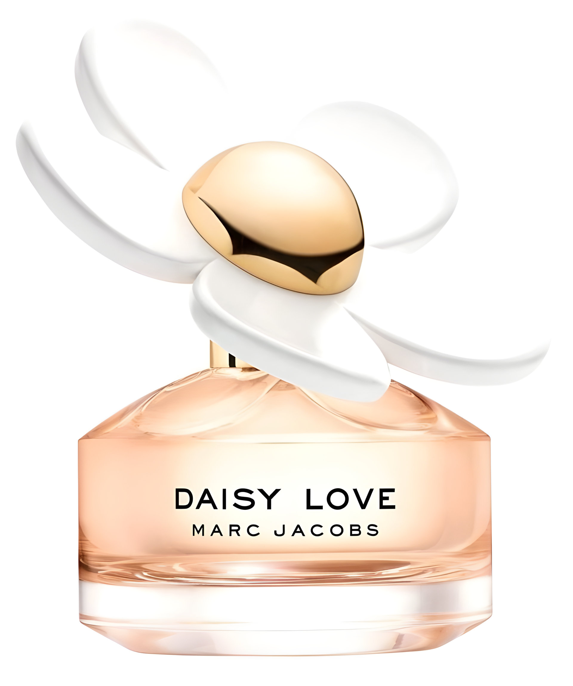 Picture of Daisy Love fragrance