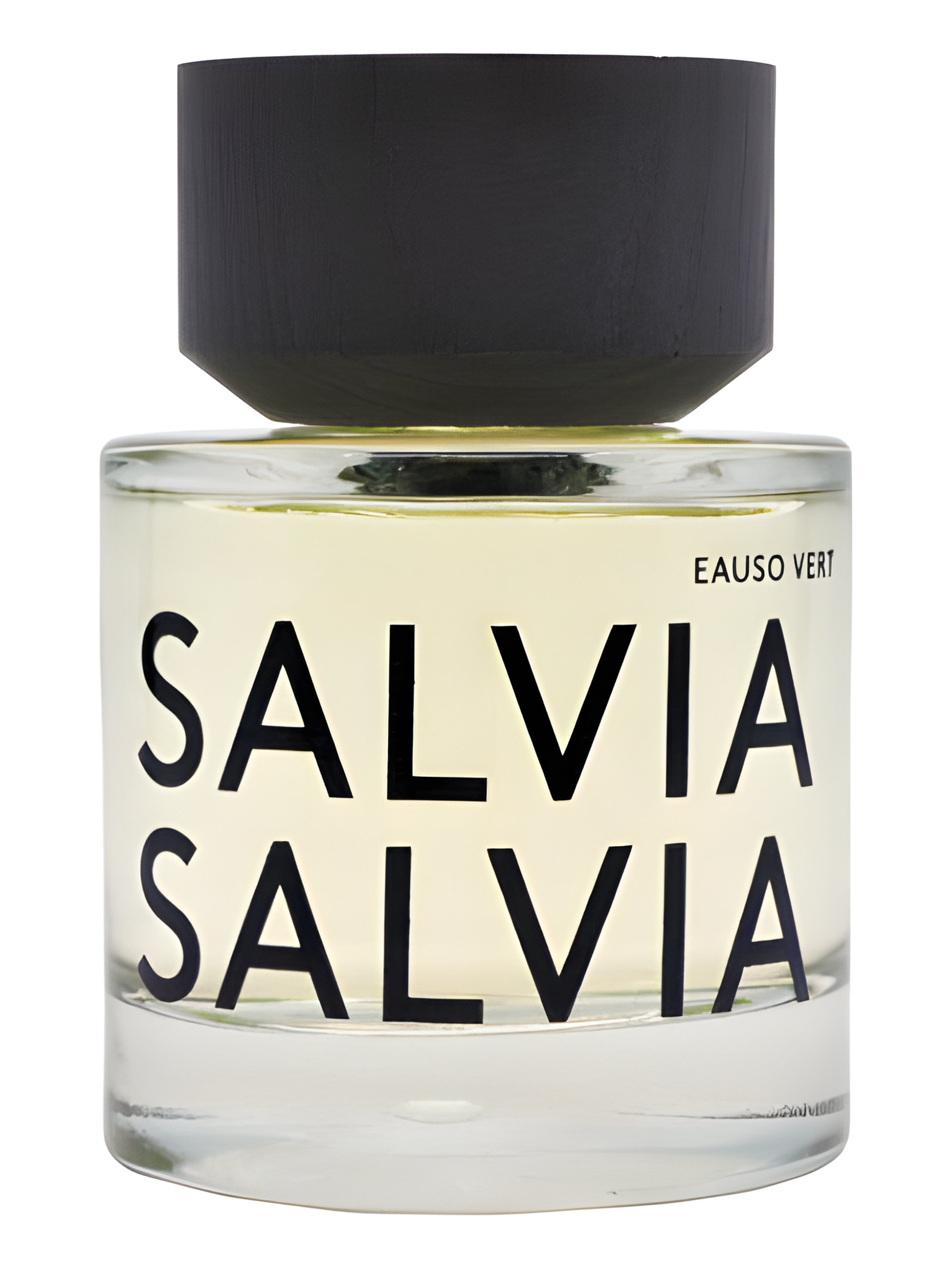 Picture of Salvia Salvia fragrance