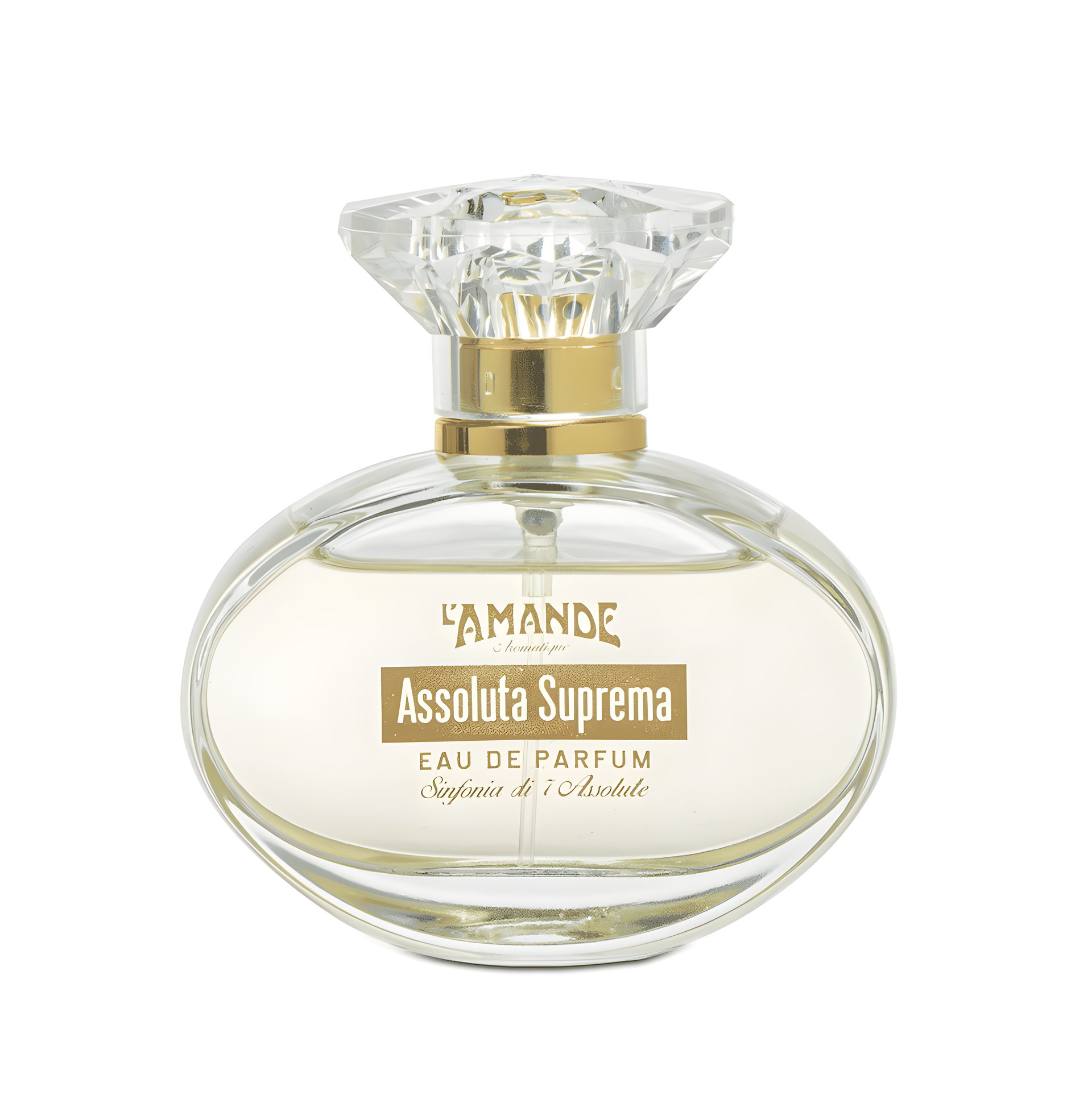 Picture of Assoluta Suprema fragrance