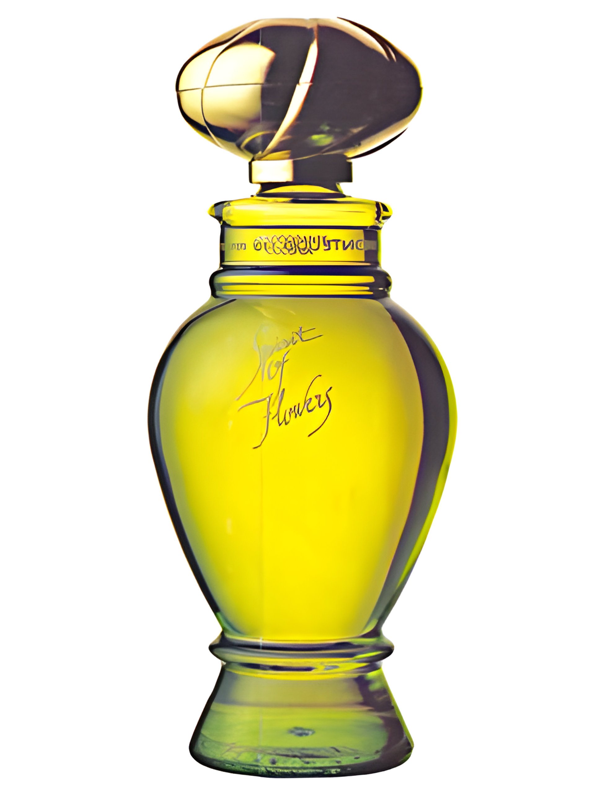 Picture of Spirit of Flowers fragrance