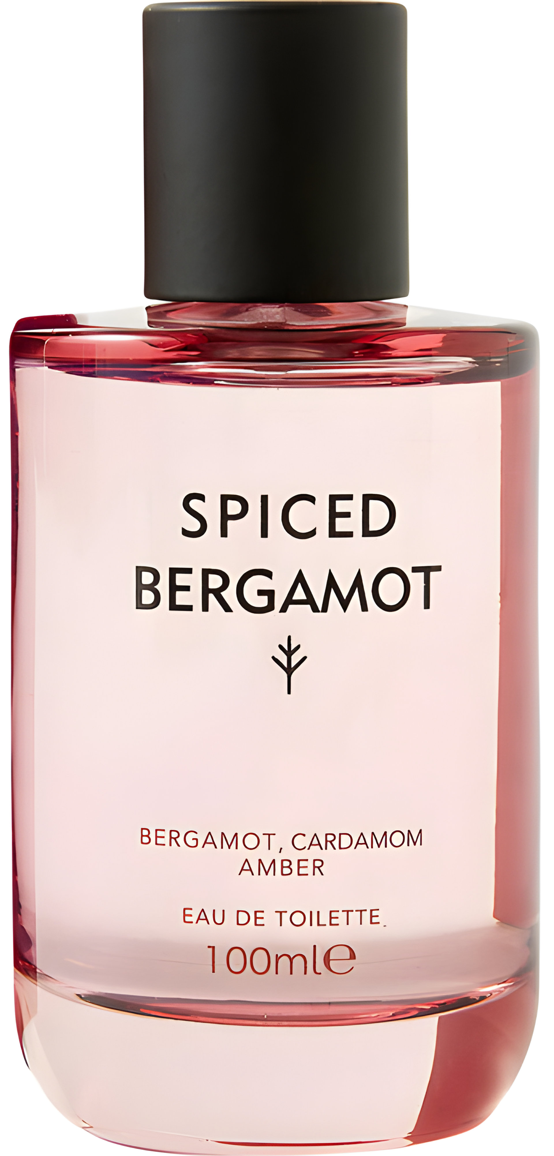 Picture of Spiced Bergamot fragrance