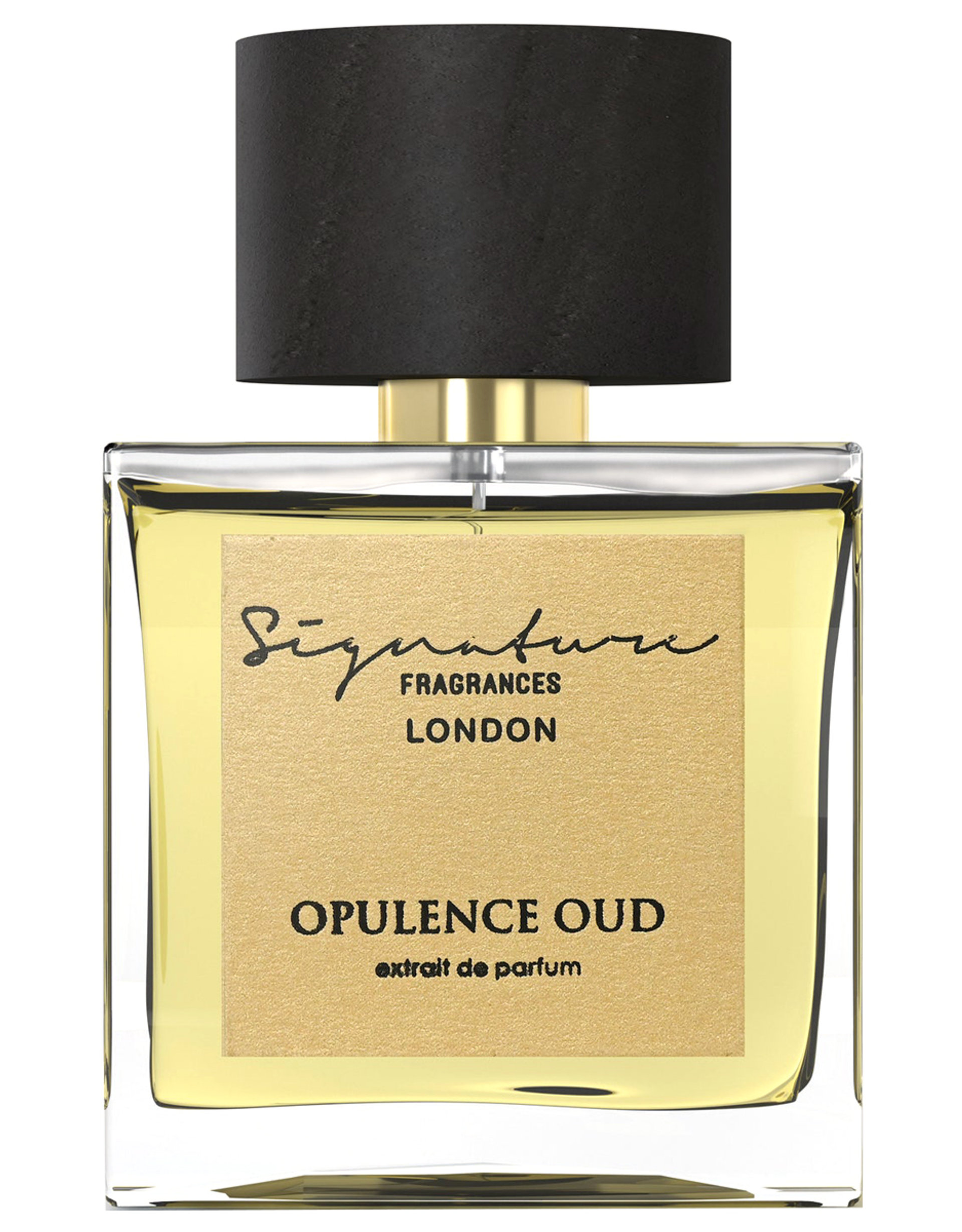 Picture of Opulence Oud fragrance