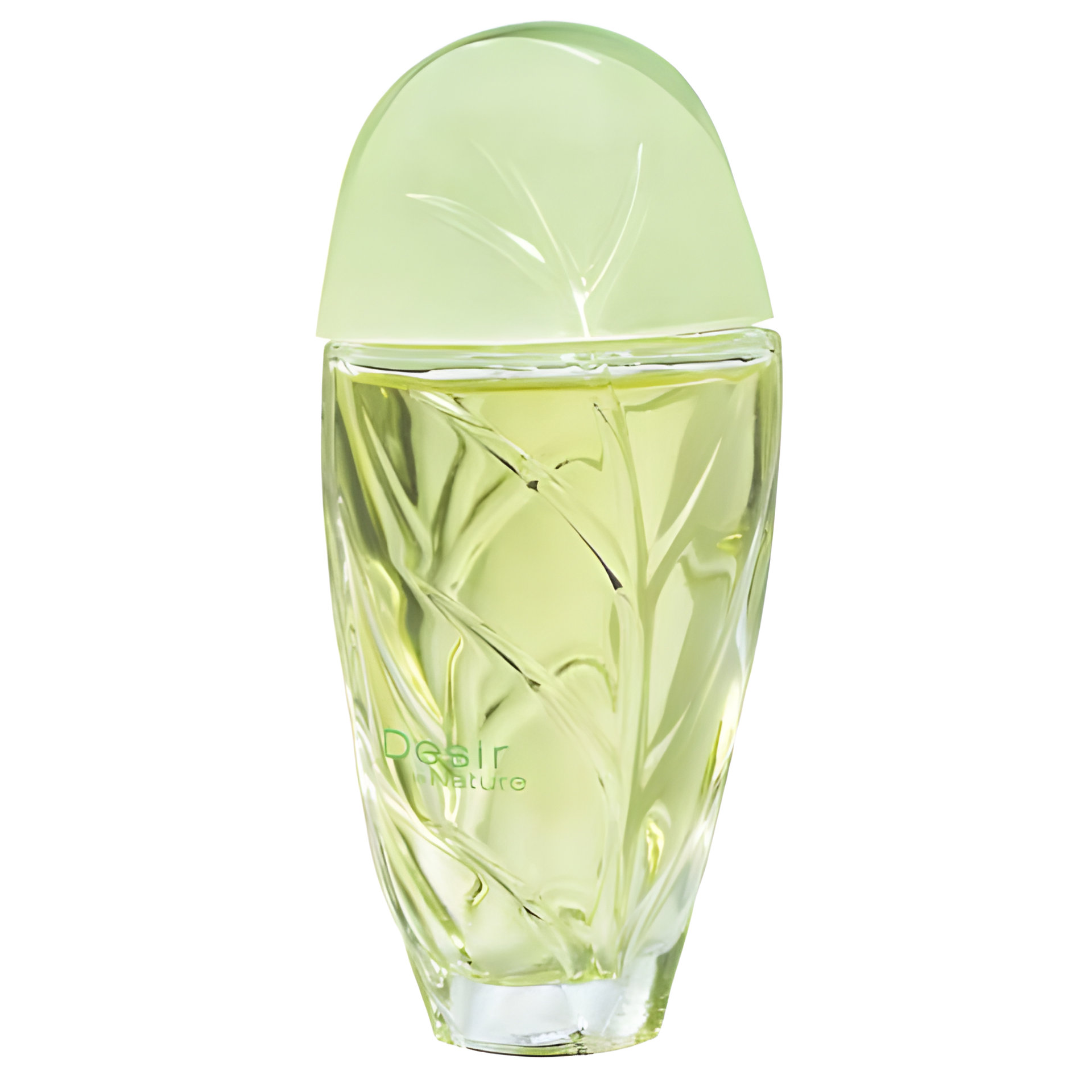 Picture of Desir de Nature fragrance