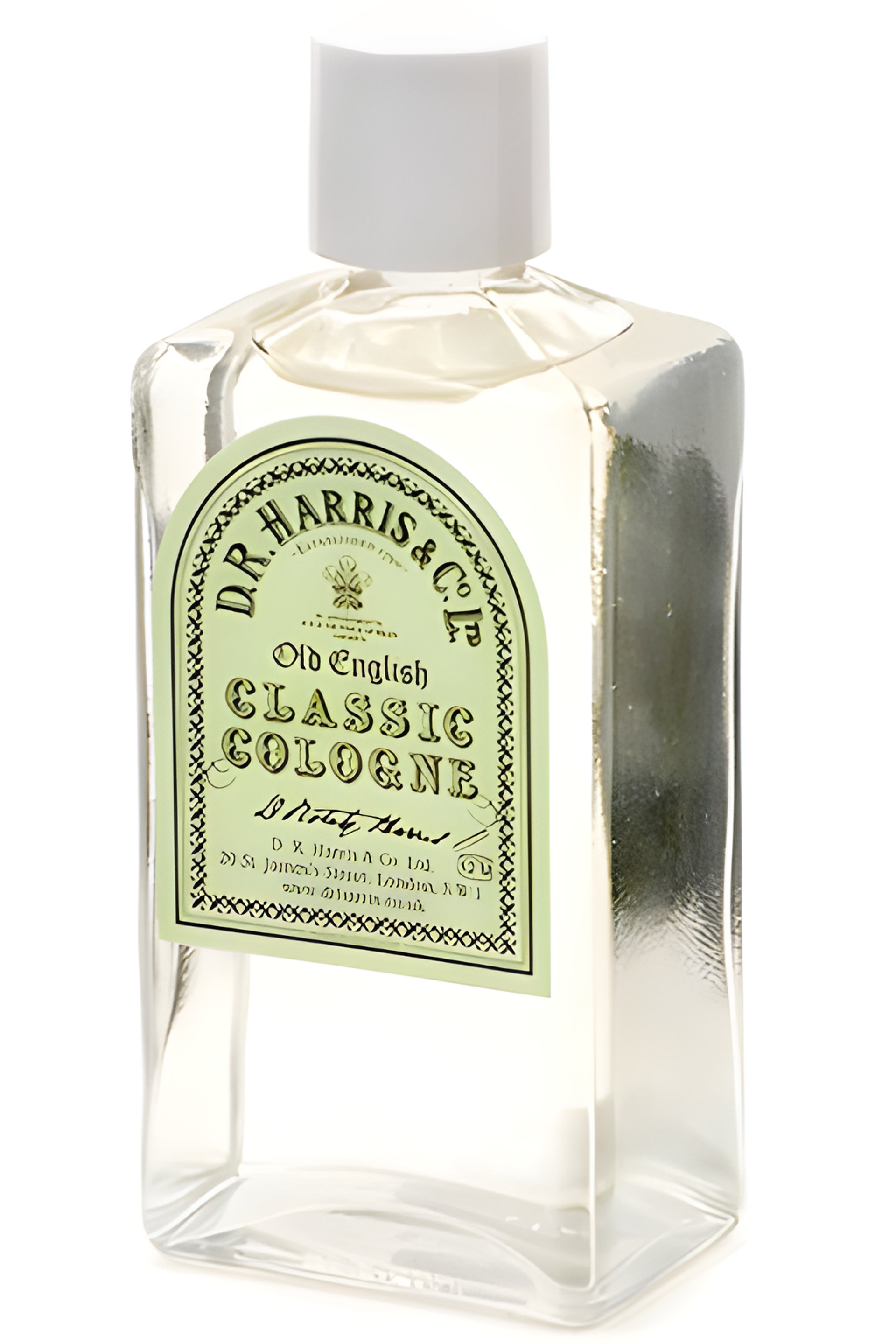 Picture of Classic Cologne fragrance