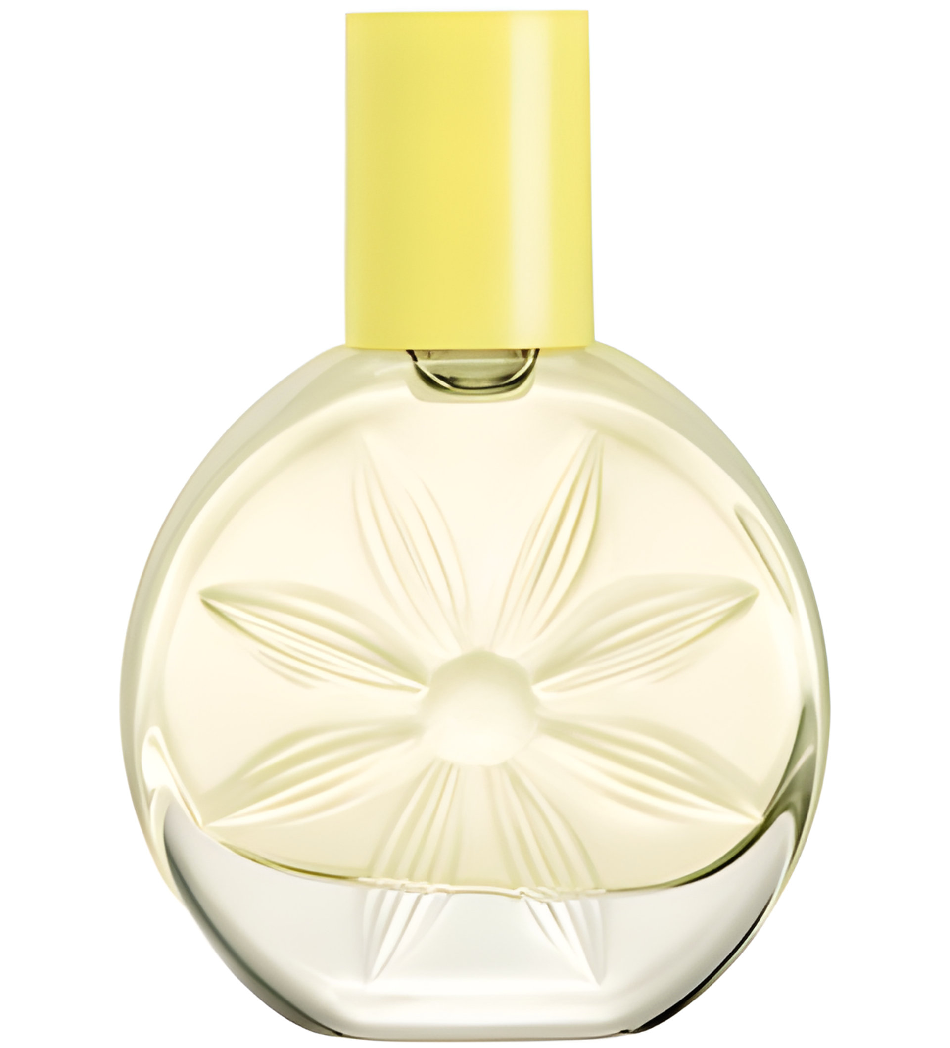 Picture of Be... Joyful fragrance