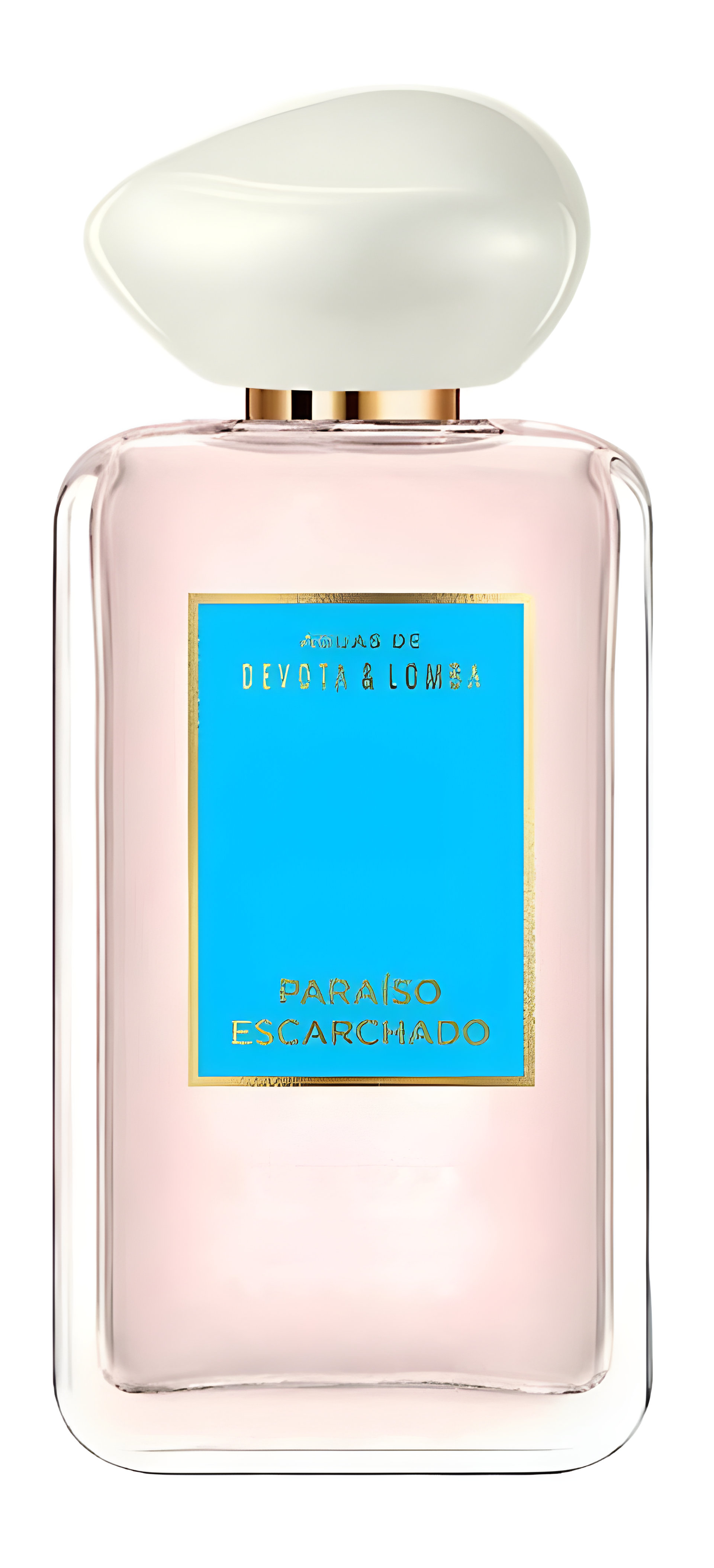 Picture of Paraíso Escarchado fragrance