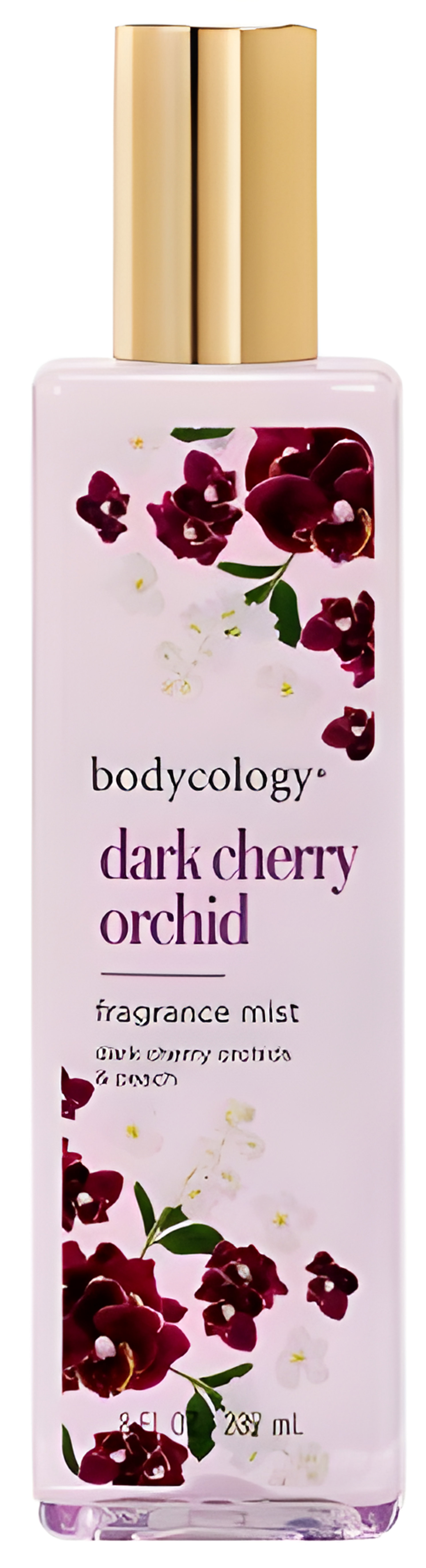 Picture of Dark Cherry Orchid fragrance