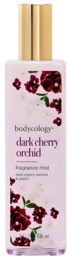 Dark Cherry Orchid by Bodycology perfume bottle