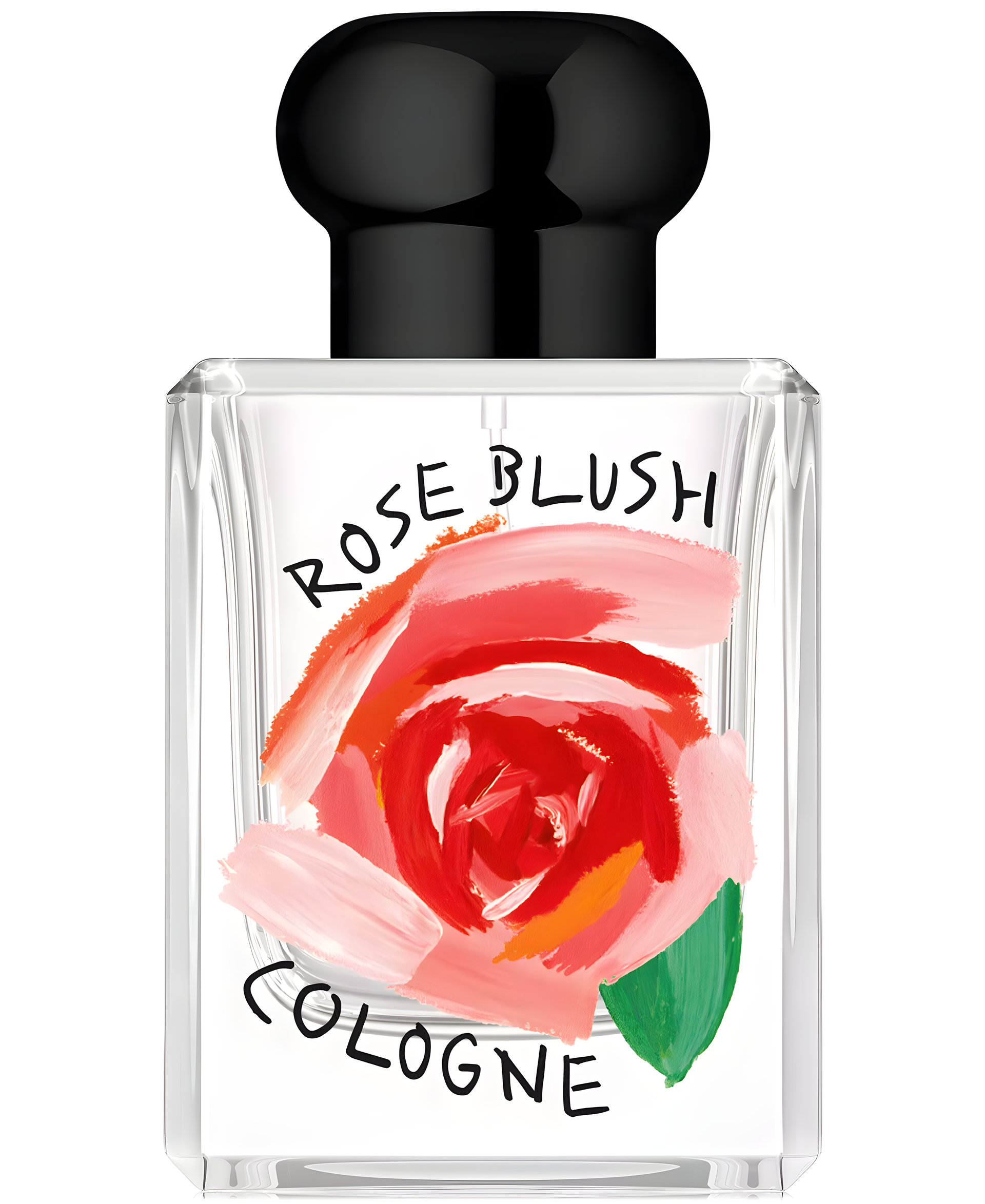 Picture of Rose Blush Cologne 2024 fragrance