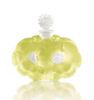 Paradis Provence by Shalini perfume bottle