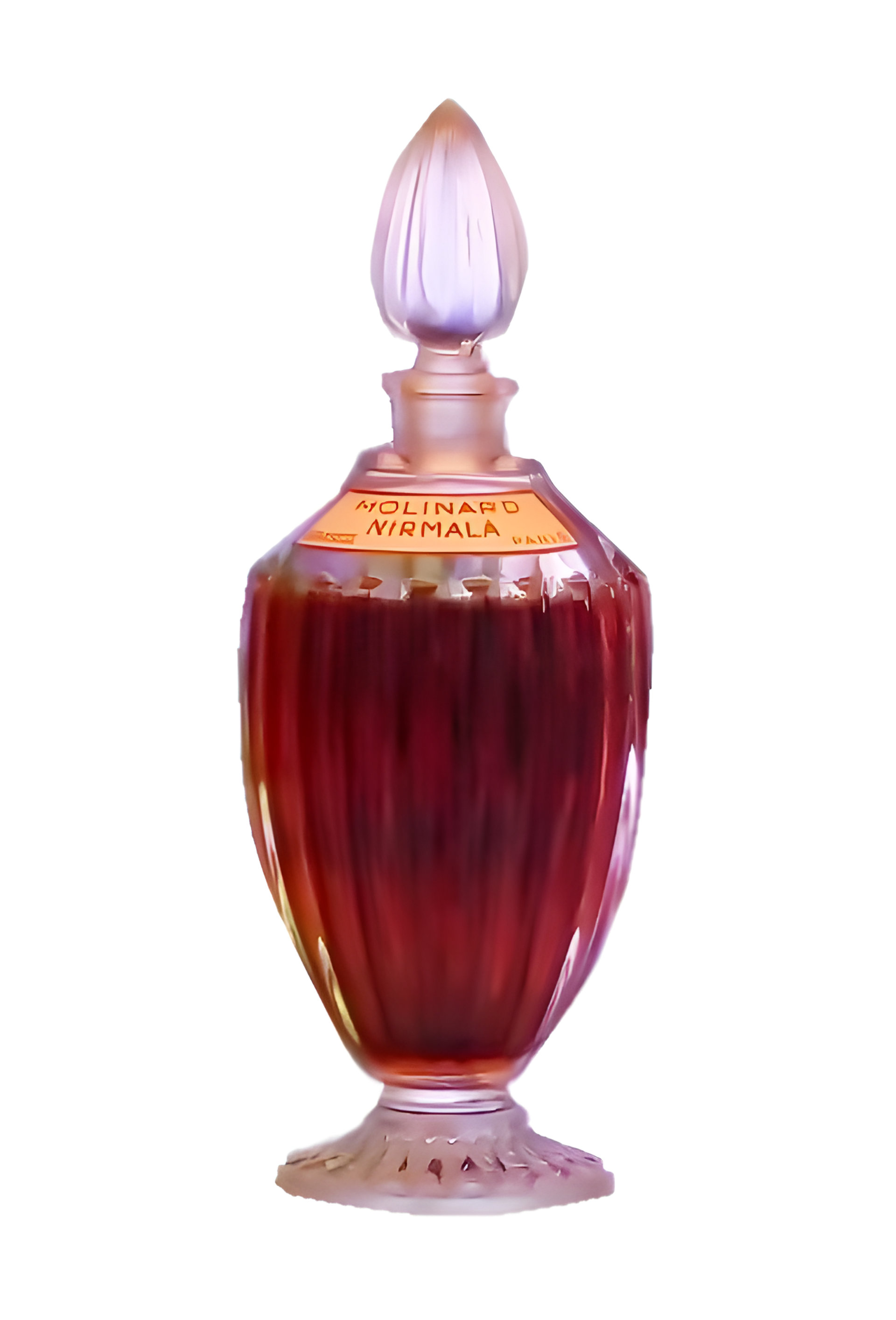 Picture of Nirmala fragrance