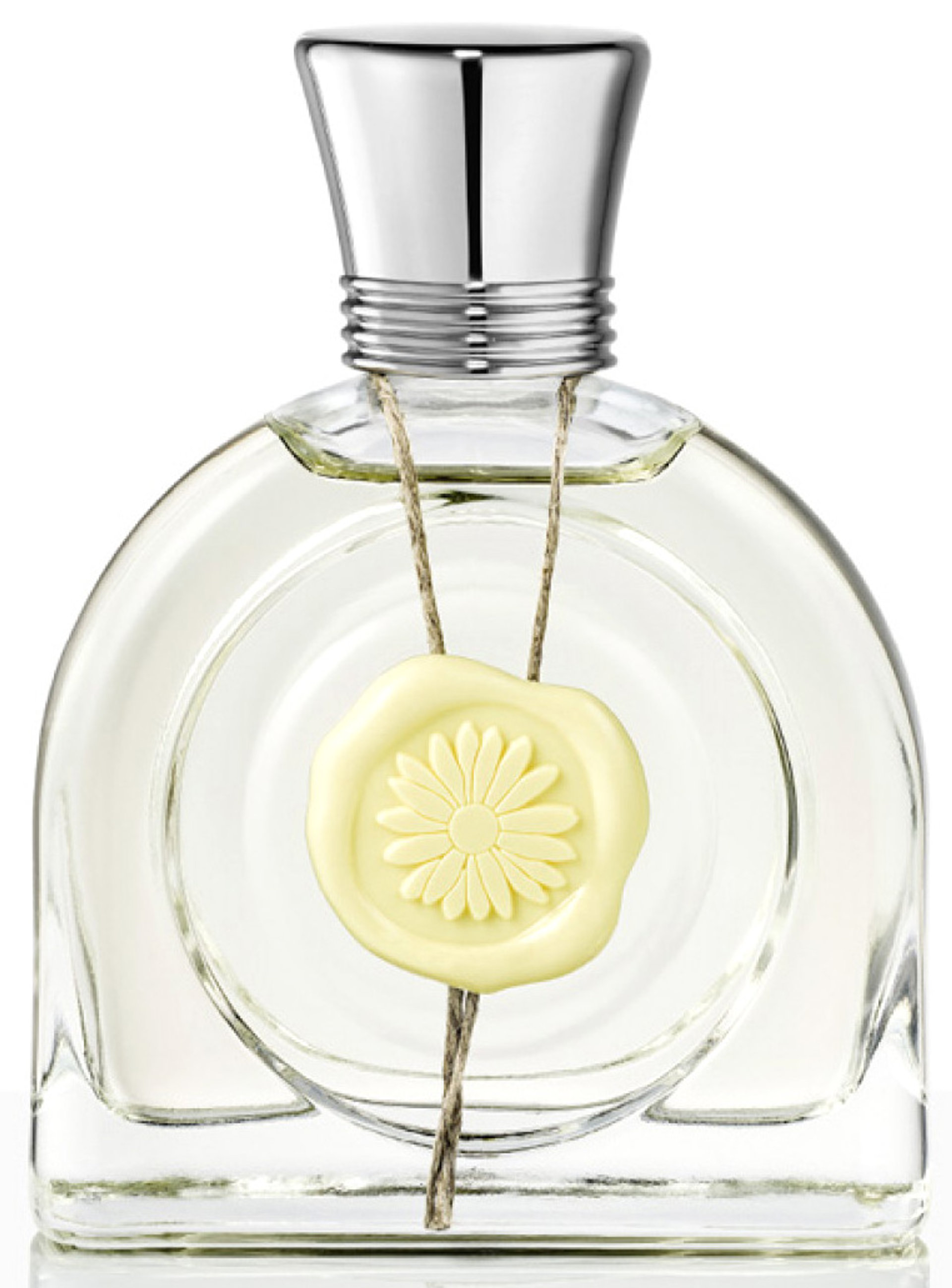 Fleur Lumière by M. Micallef