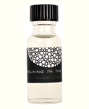 Walking in the Air by CB I Hate Perfume perfume bottle