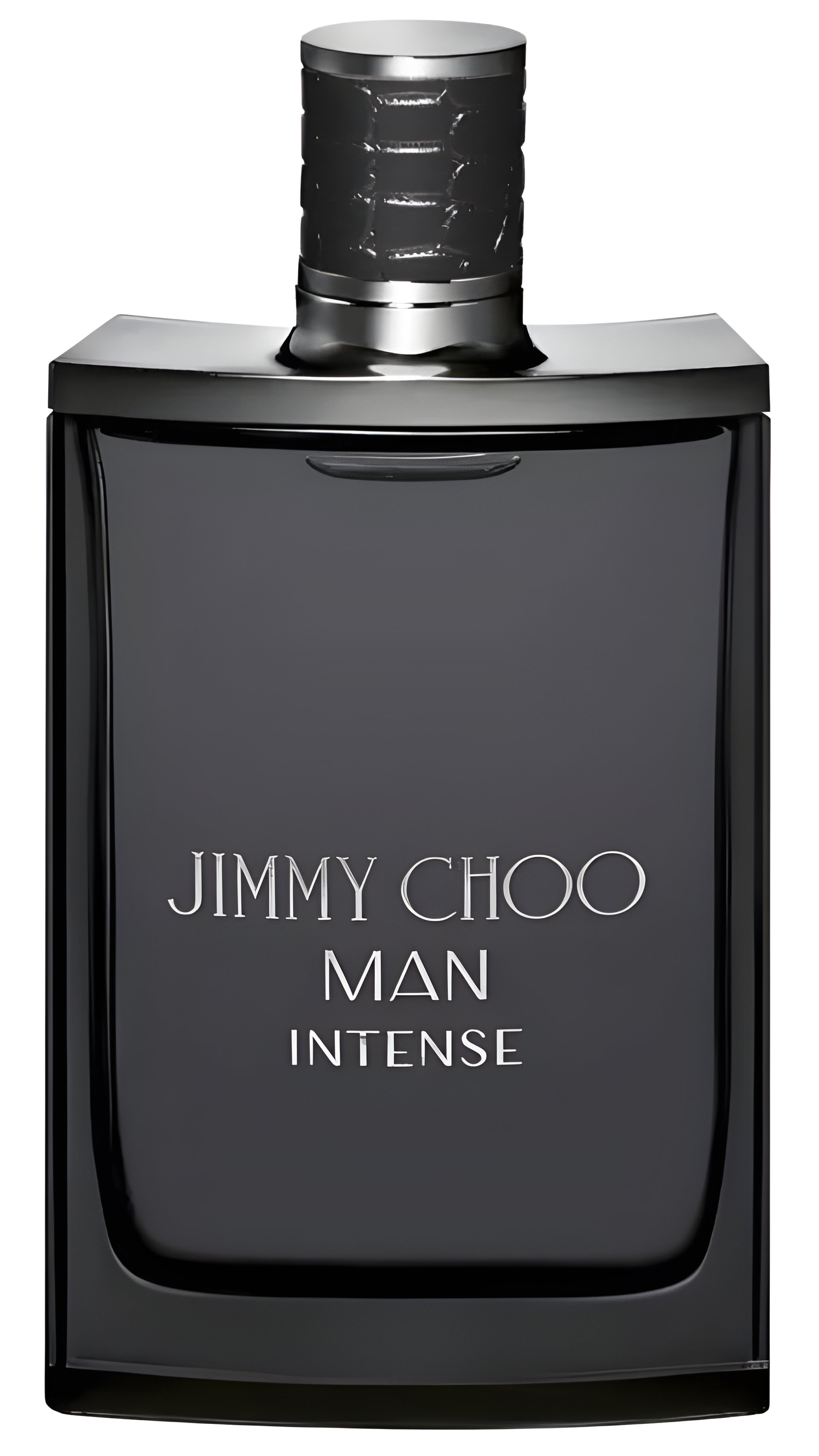 Picture of Jimmy Choo Man Intense fragrance