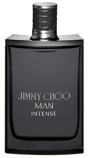 Picture of Jimmy Choo Man Intense fragrance