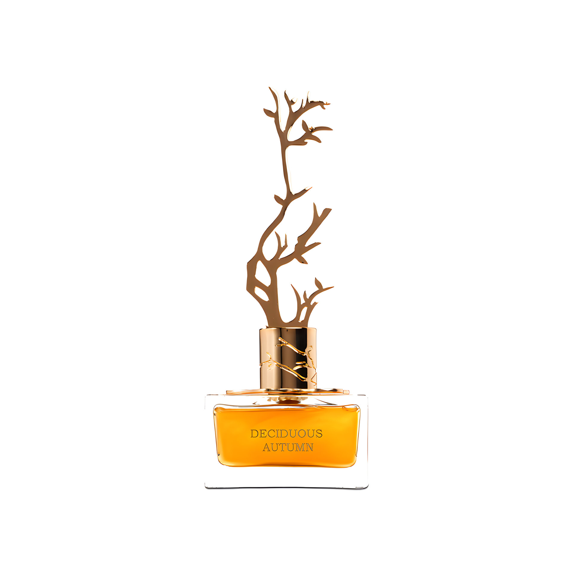 Picture of Deciduous Autumn fragrance