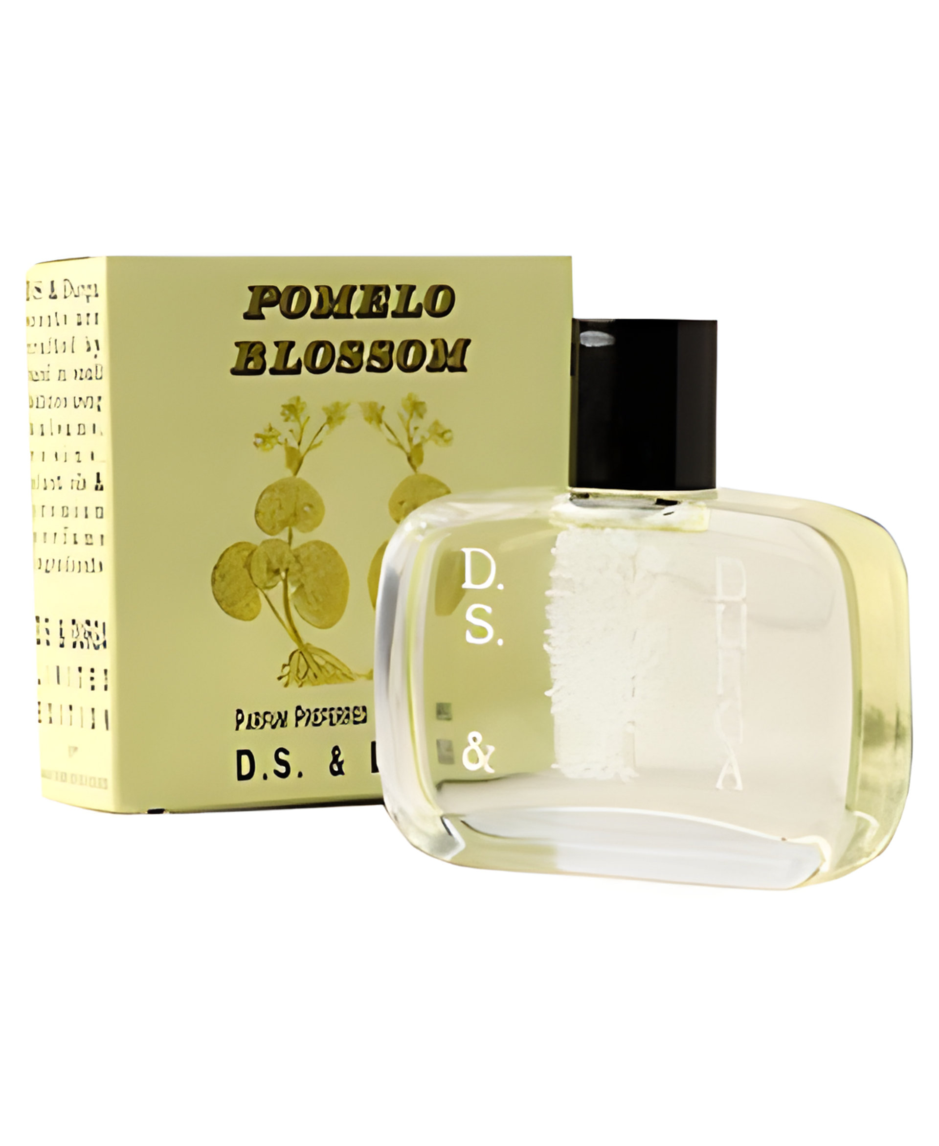 Picture of Pomelo Blossom fragrance