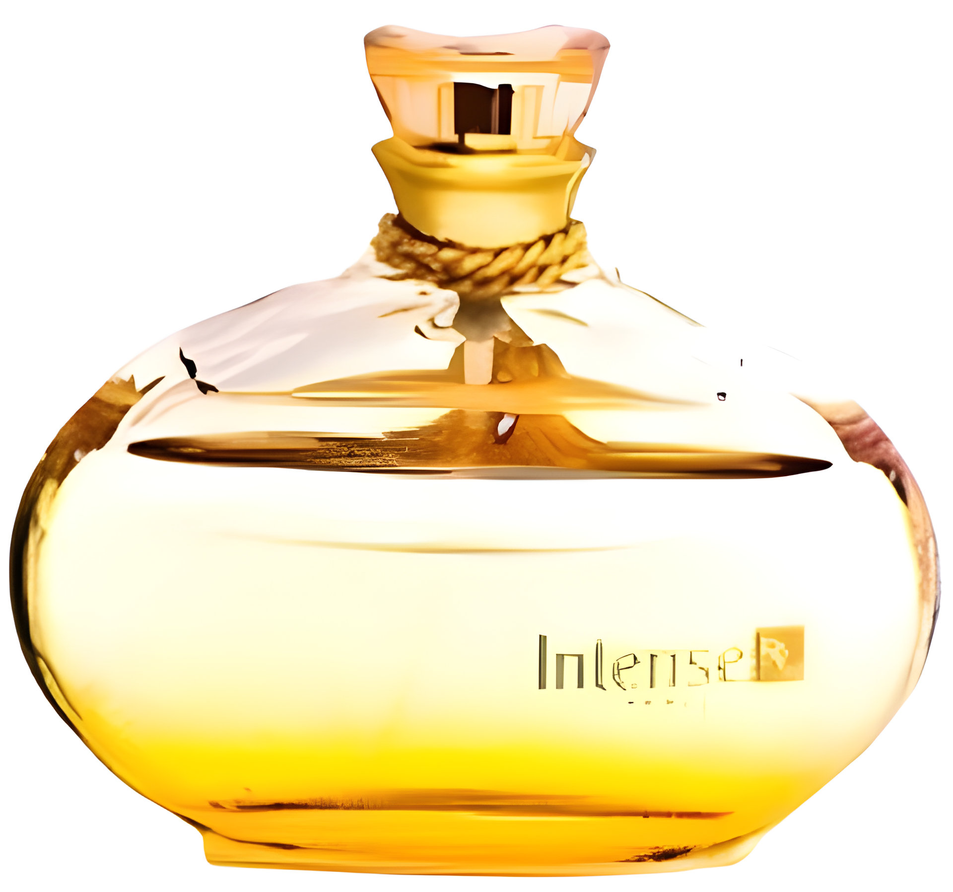 Picture of Intense Remy Latour fragrance