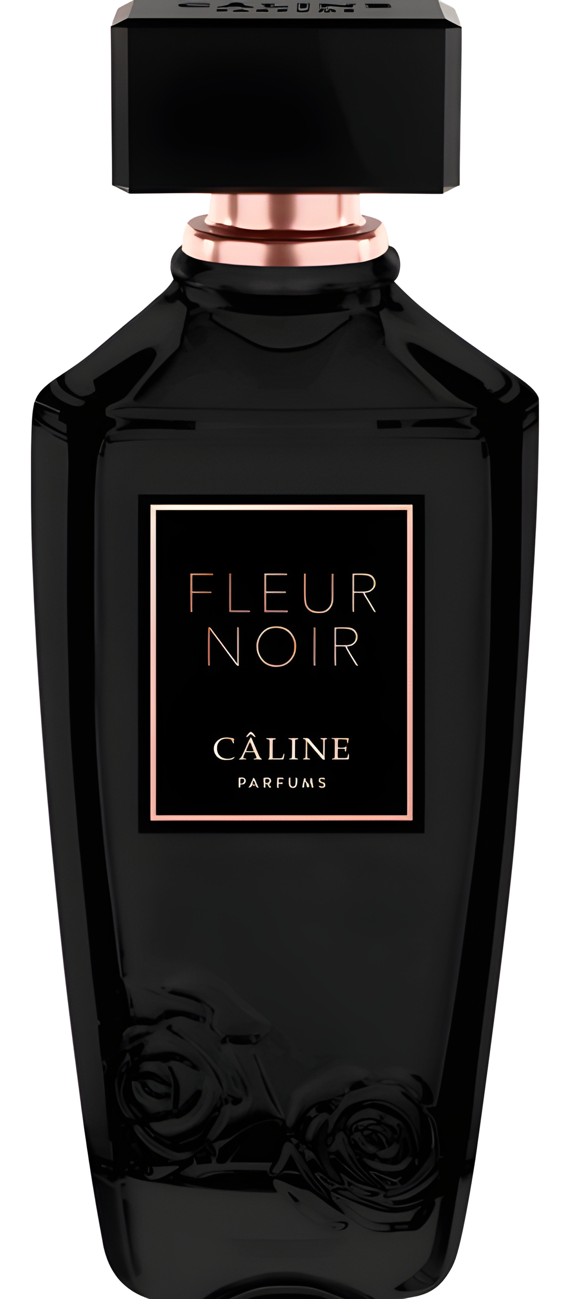 Picture of Fleur Noir fragrance