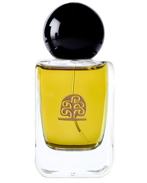 Hommage À Paul Klee Lights and Shadows by Ys-Uzac perfume bottle