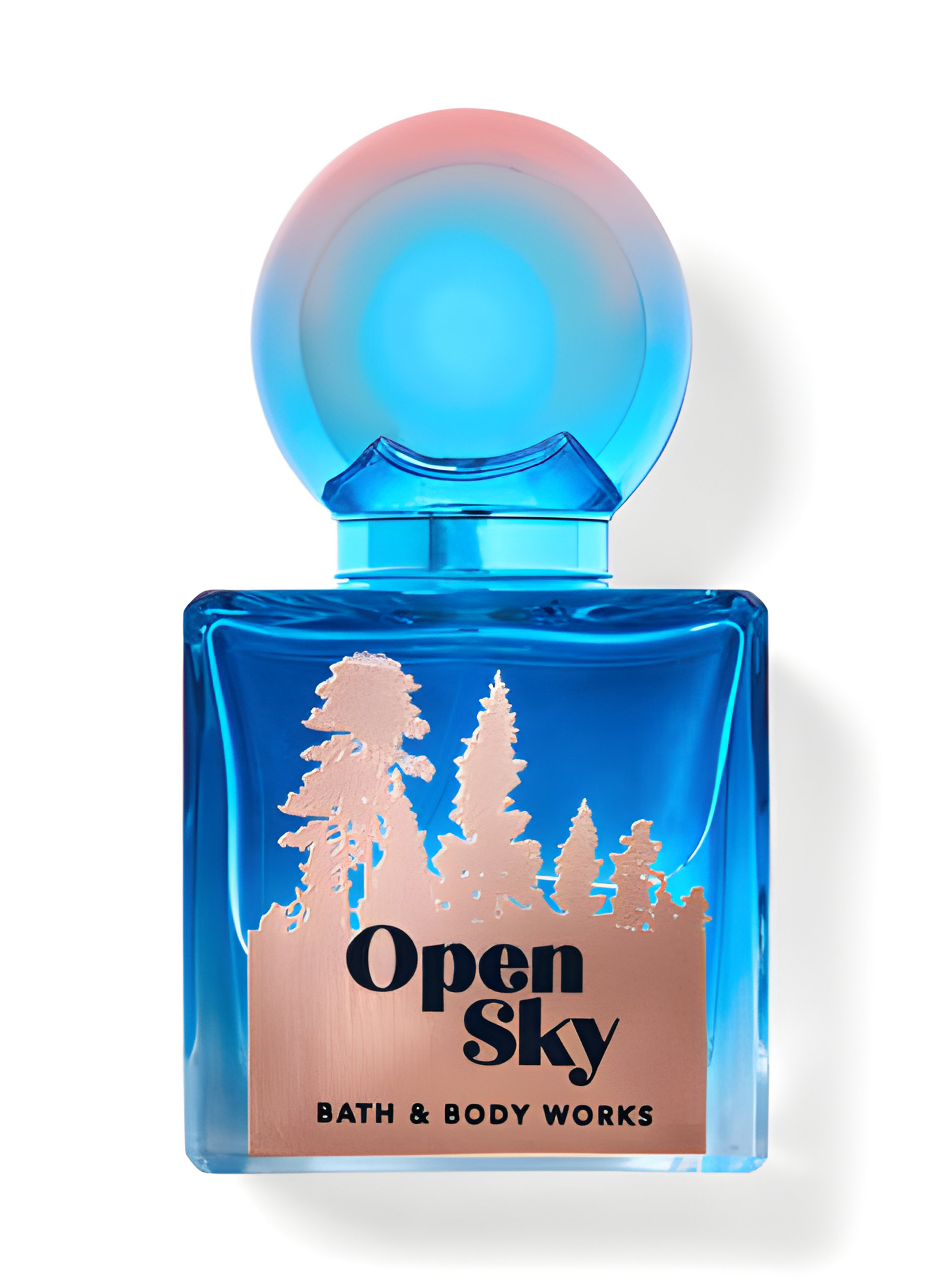 Picture of Open Sky EdP fragrance