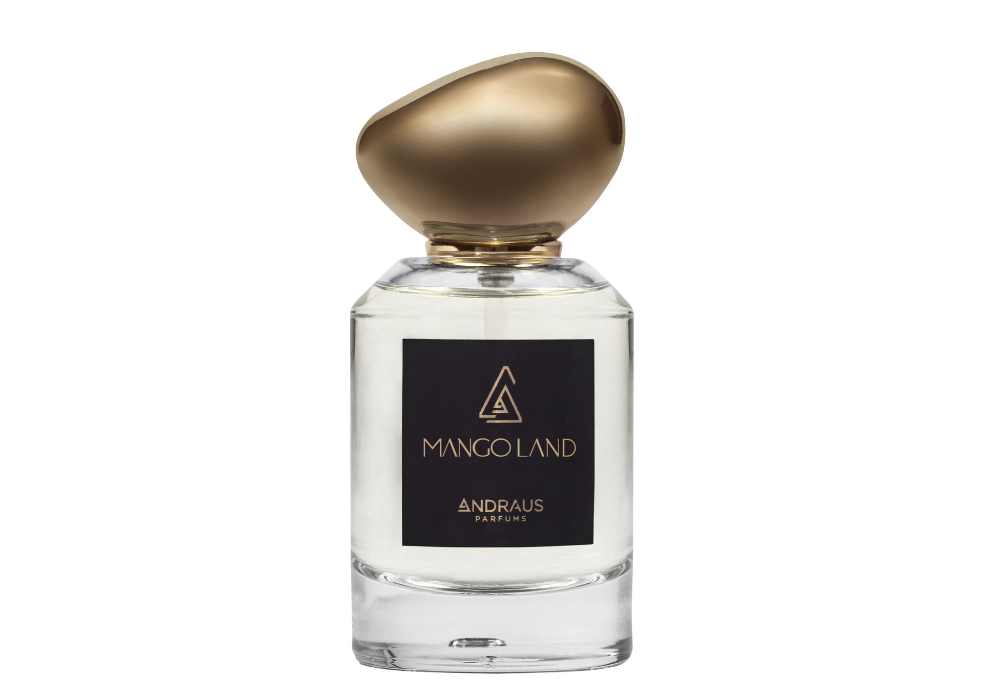 Picture of Mango Land fragrance