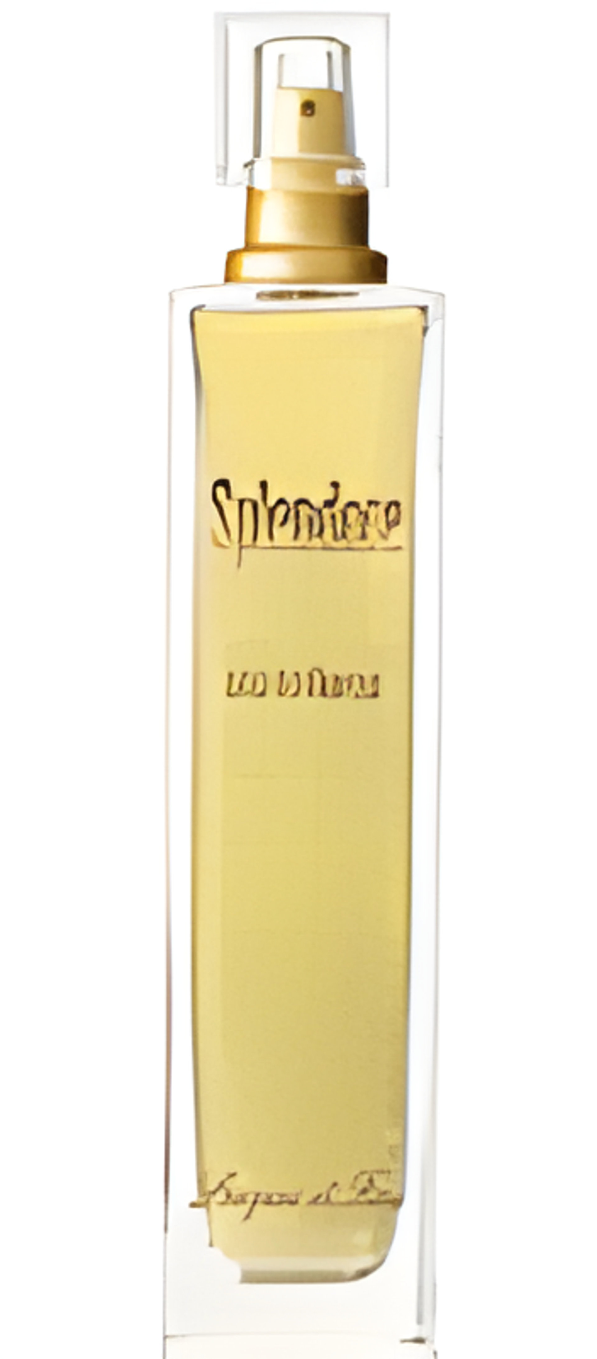 Picture of Splendore Oro Brillante fragrance