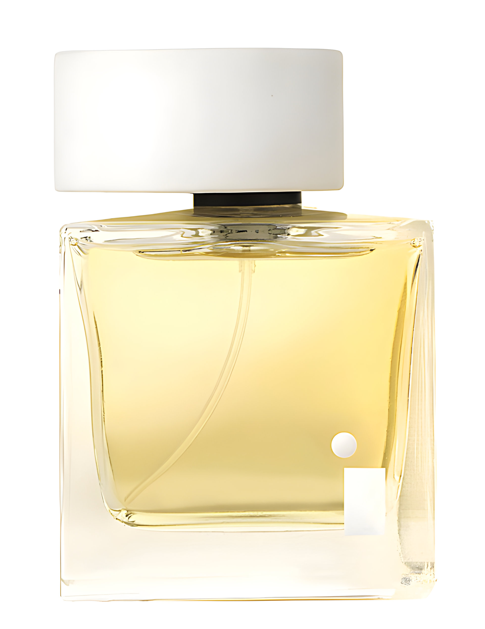 Picture of White on White fragrance