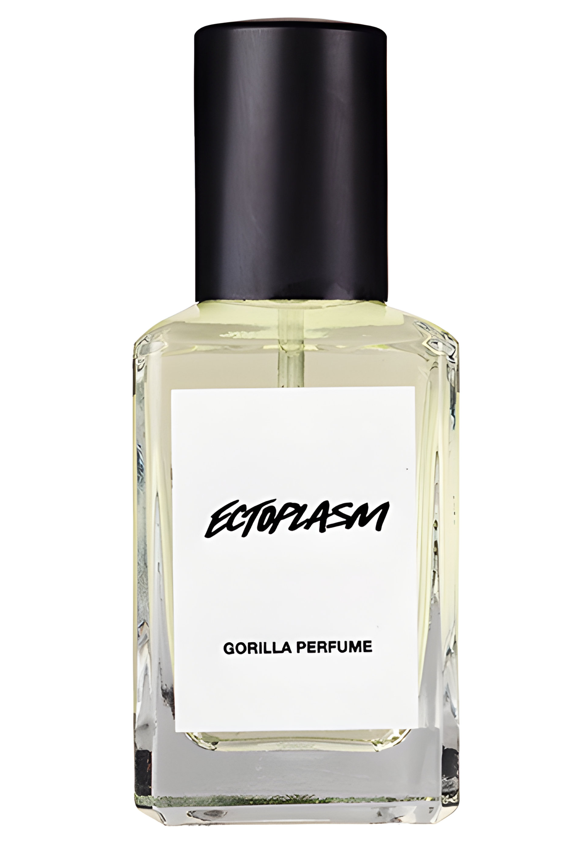 Picture of Ectoplasm fragrance