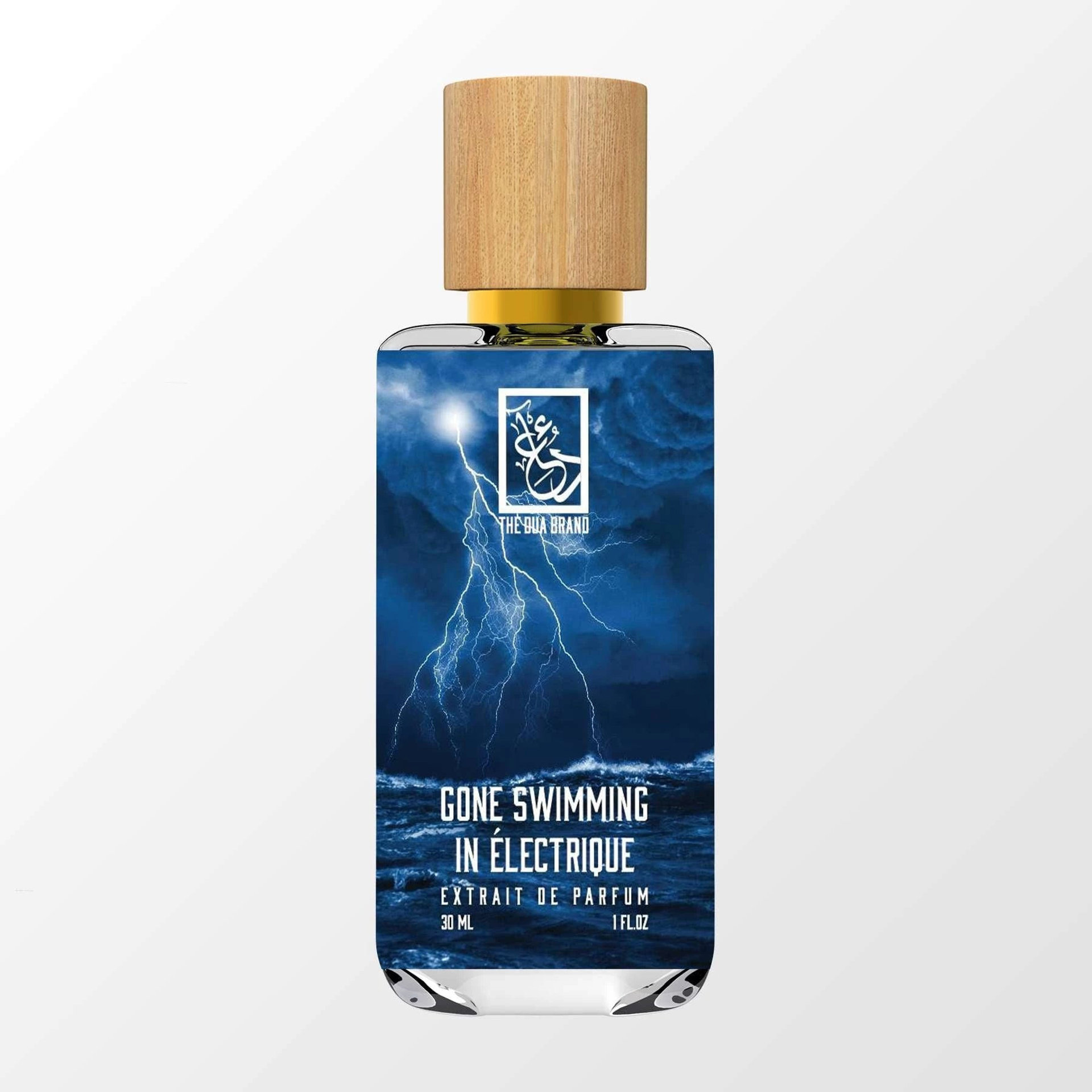 Picture of Gone Swimming in Électrique fragrance