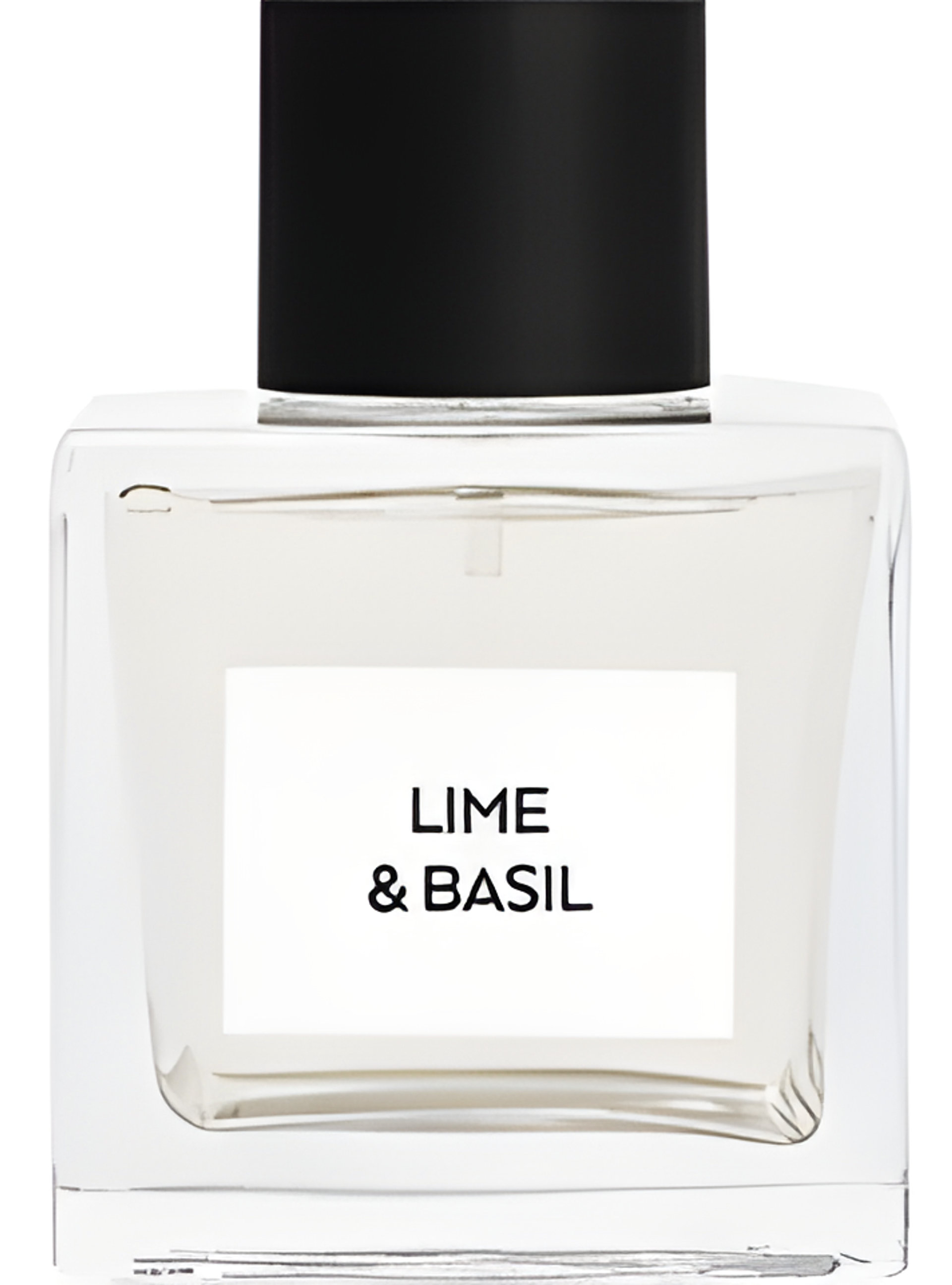 Picture of Lime & Basil fragrance